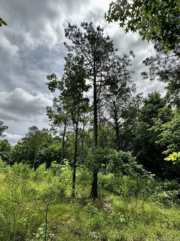 TBD  Dream Lane  Wickes, AR