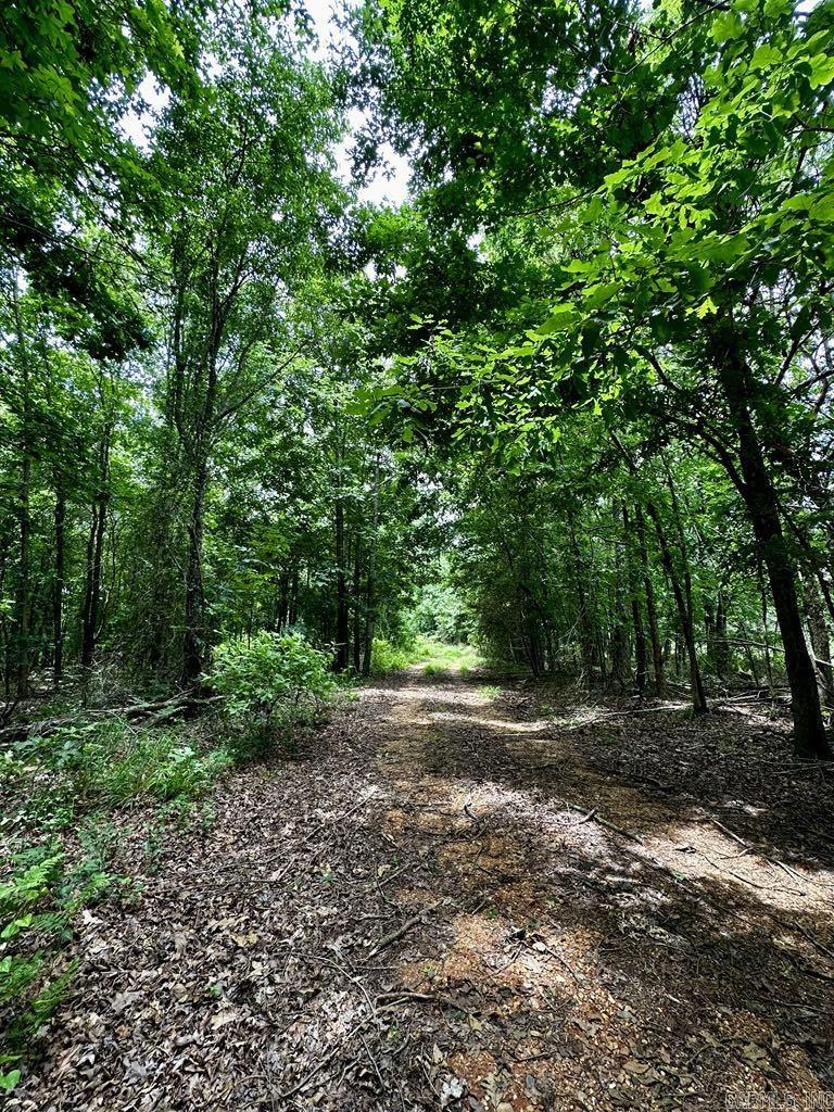 TBD  Dream Lane  Wickes, AR