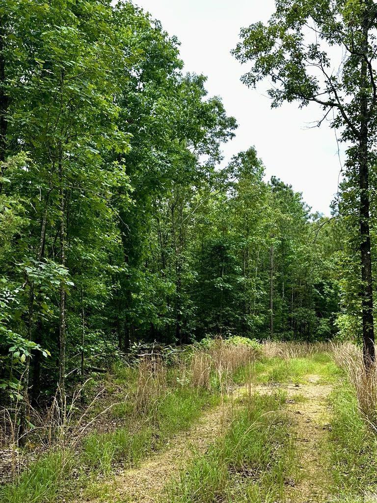 TBD  Dream Lane  Wickes, AR