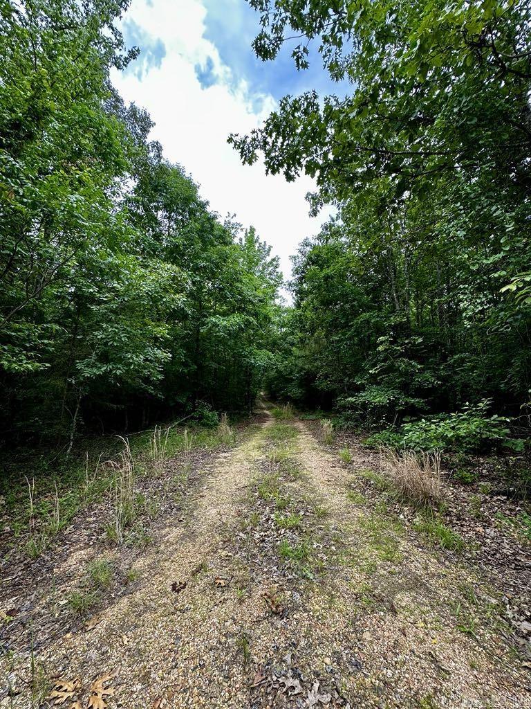 TBD  Dream Lane  Wickes, AR