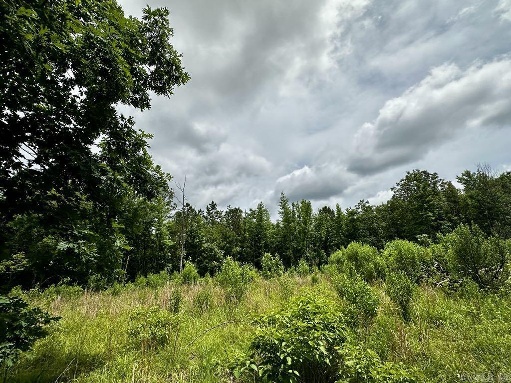 TBD  Dream Lane  Wickes, AR