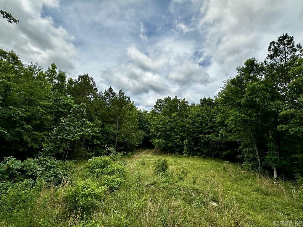 TBD  Dream Lane  Wickes, AR
