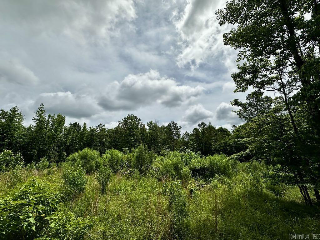 TBD  Dream Lane  Wickes, AR