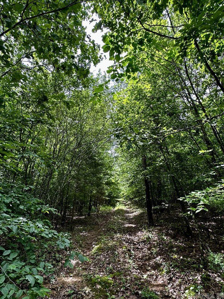 TBD  Dream Lane  Wickes, AR