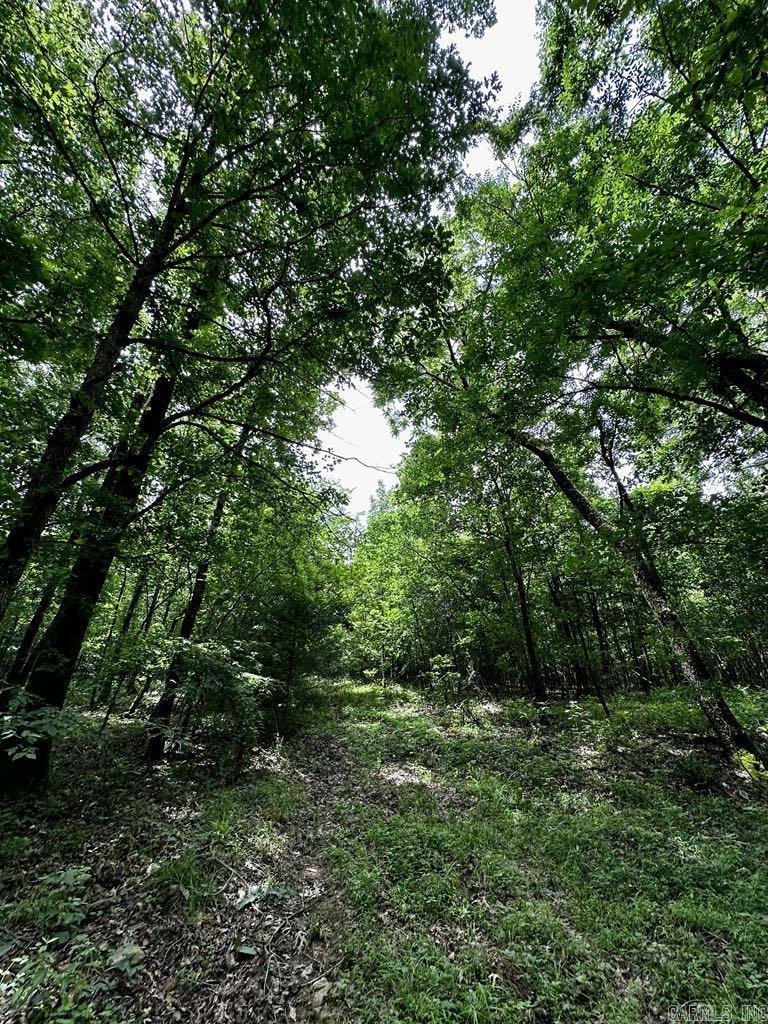 TBD  Dream Lane  Wickes, AR