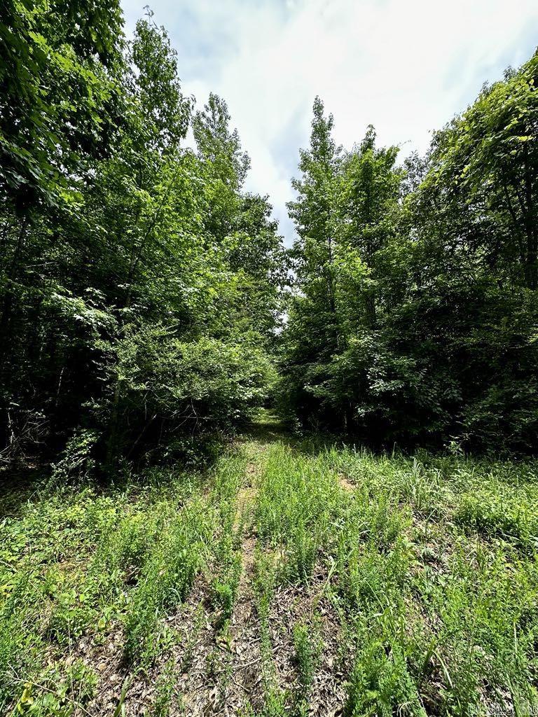 TBD  Dream Lane  Wickes, AR