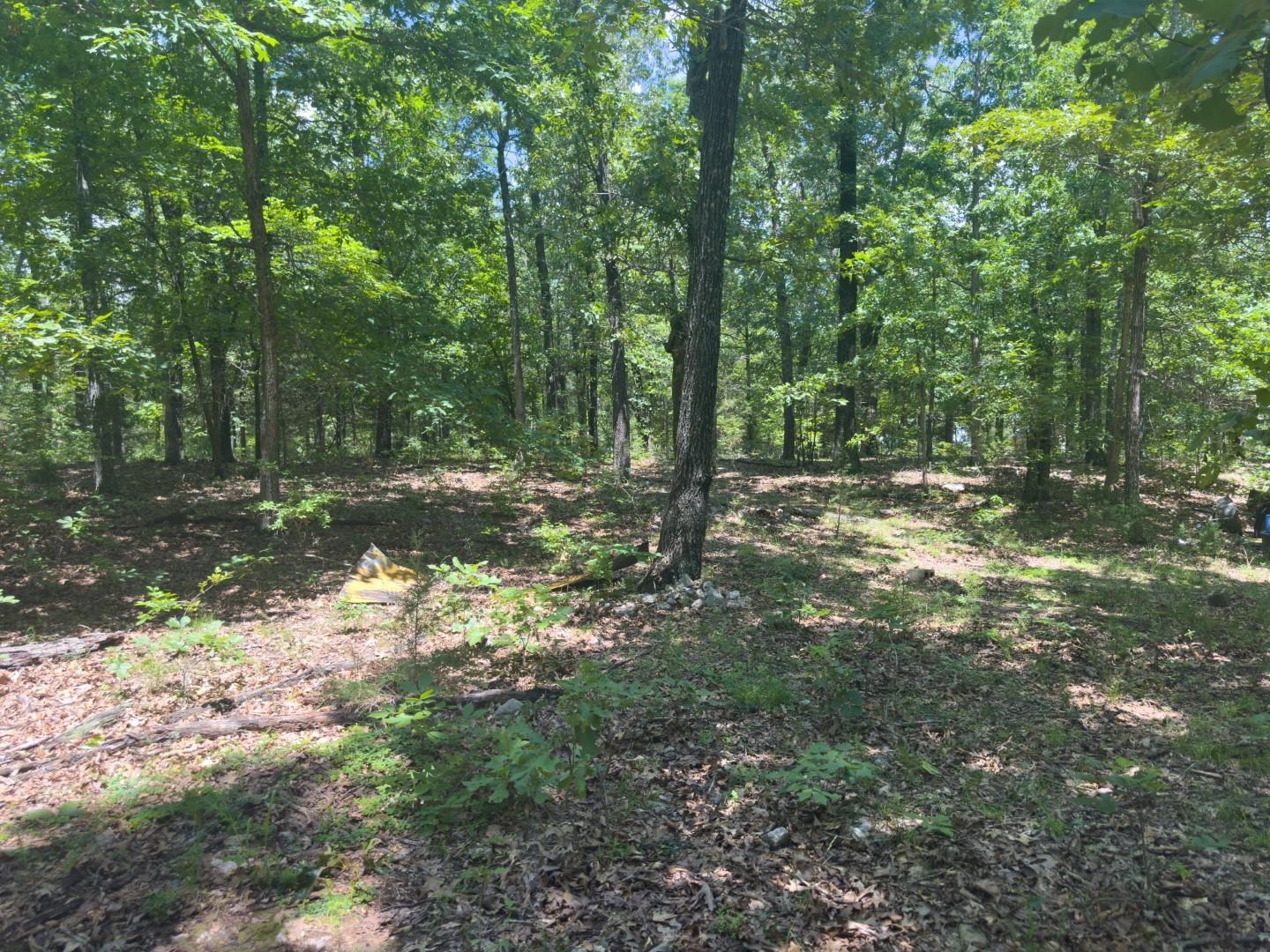 4764  Byron  Salem, AR
