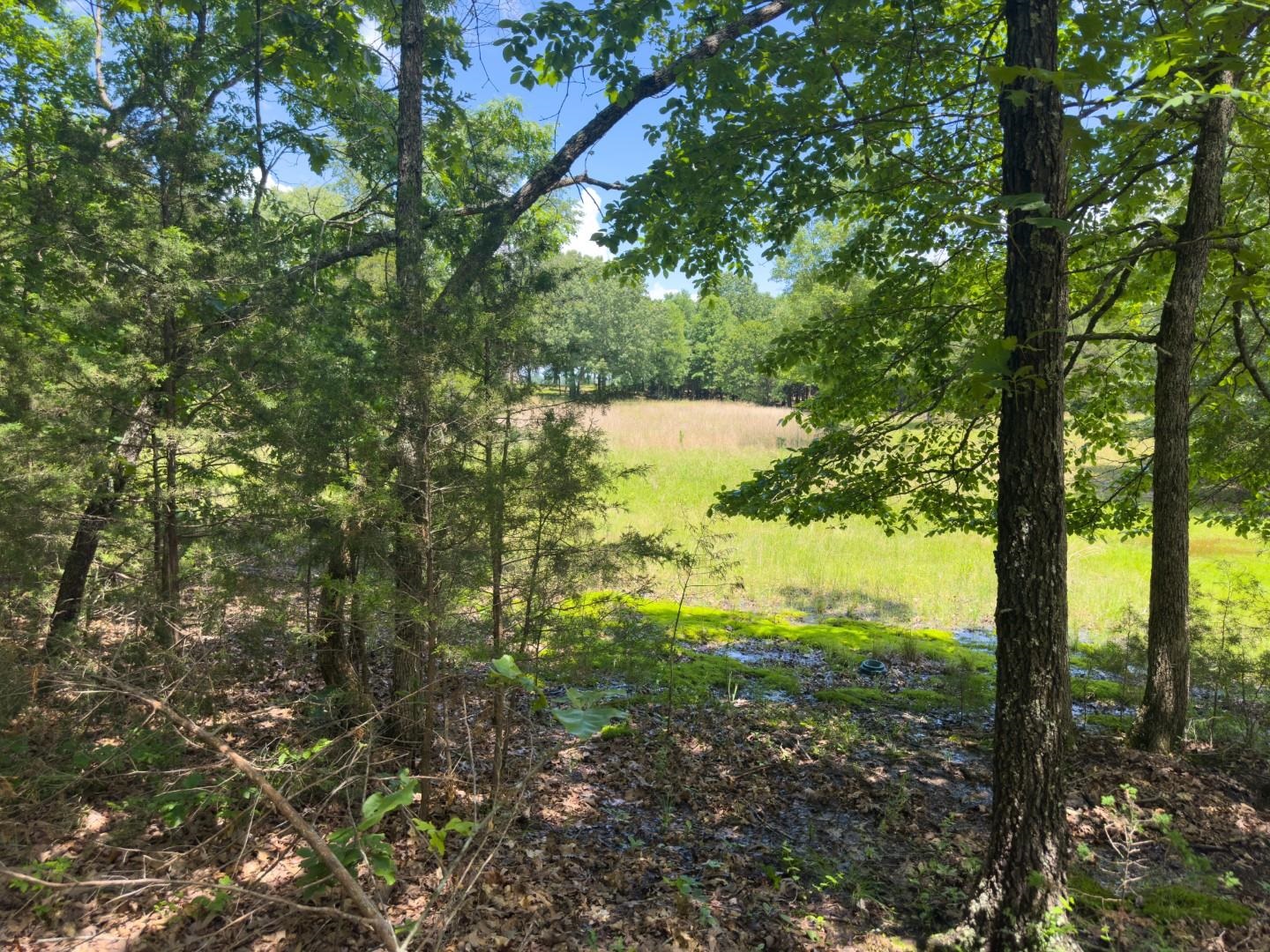 4764  Byron  Salem, AR