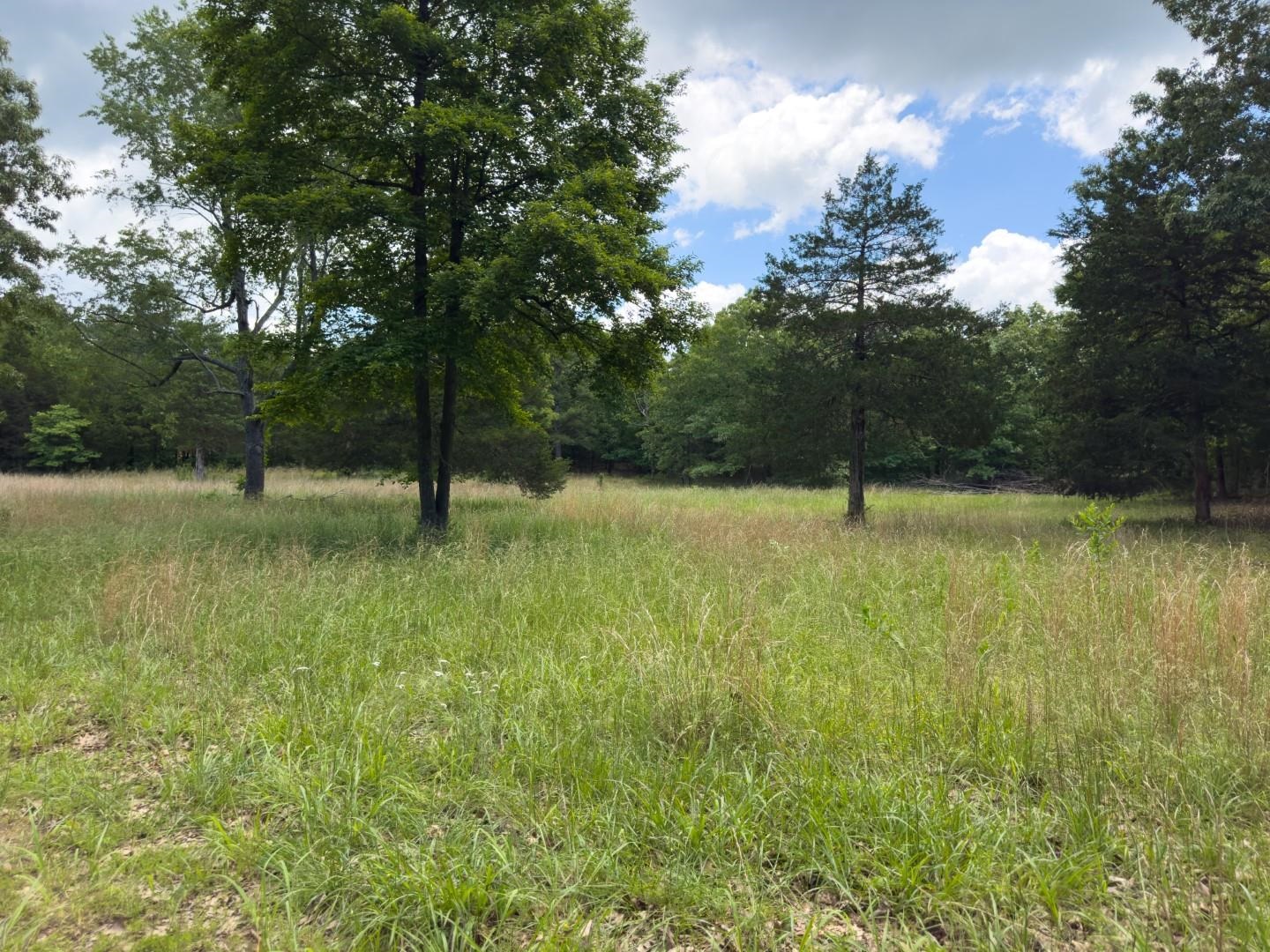4764  Byron  Salem, AR