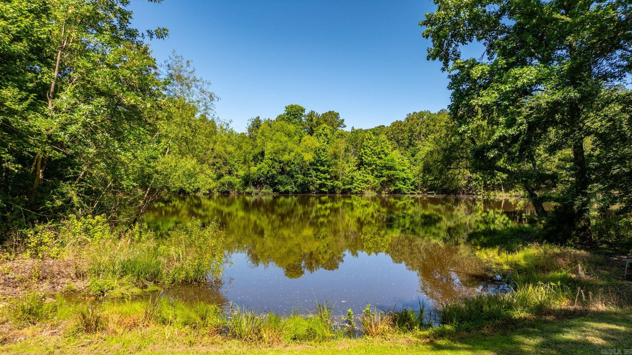 12  Bluebird  Conway, AR