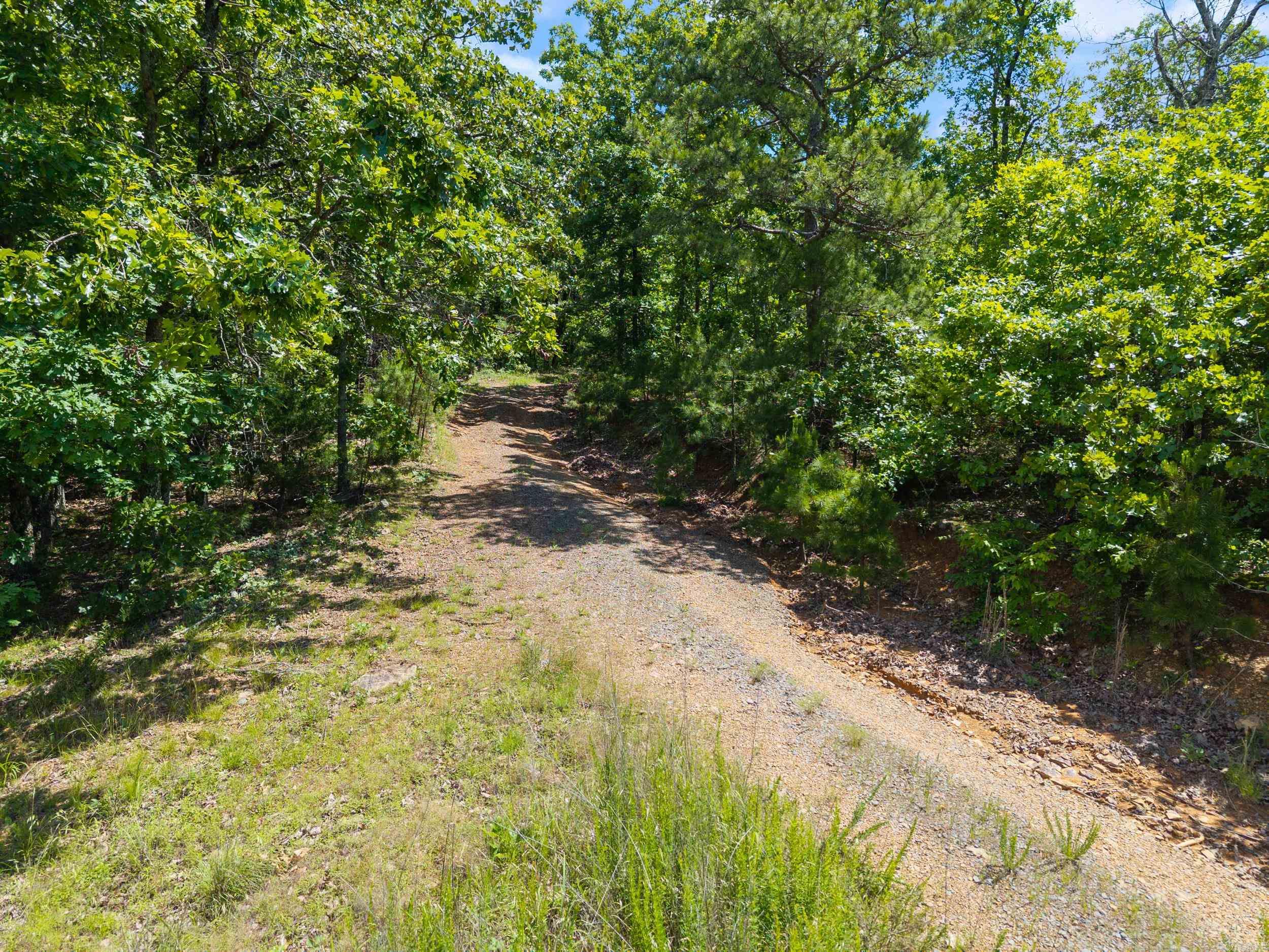 699  Almond  Jerusalem, AR