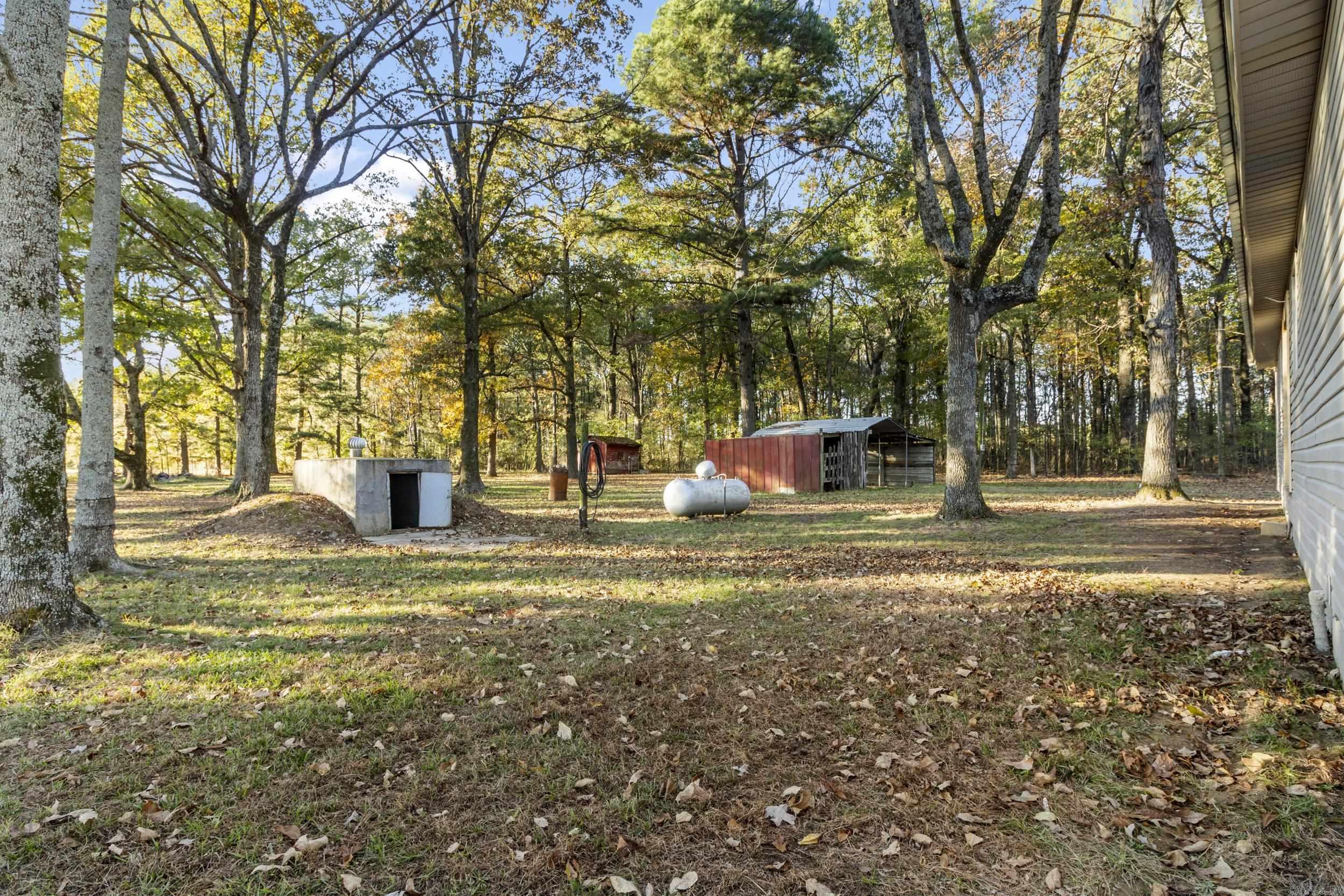 17440  Highway 11  Griffithville, AR