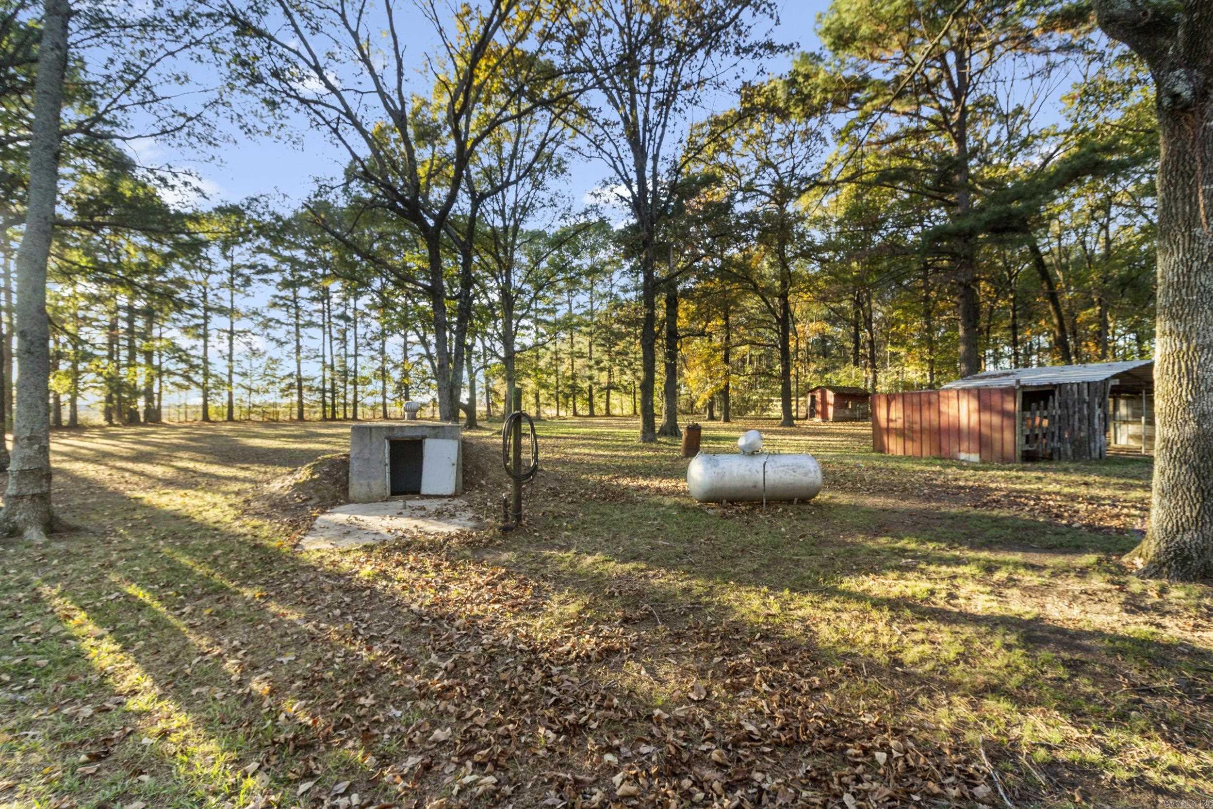 17440  Highway 11  Griffithville, AR
