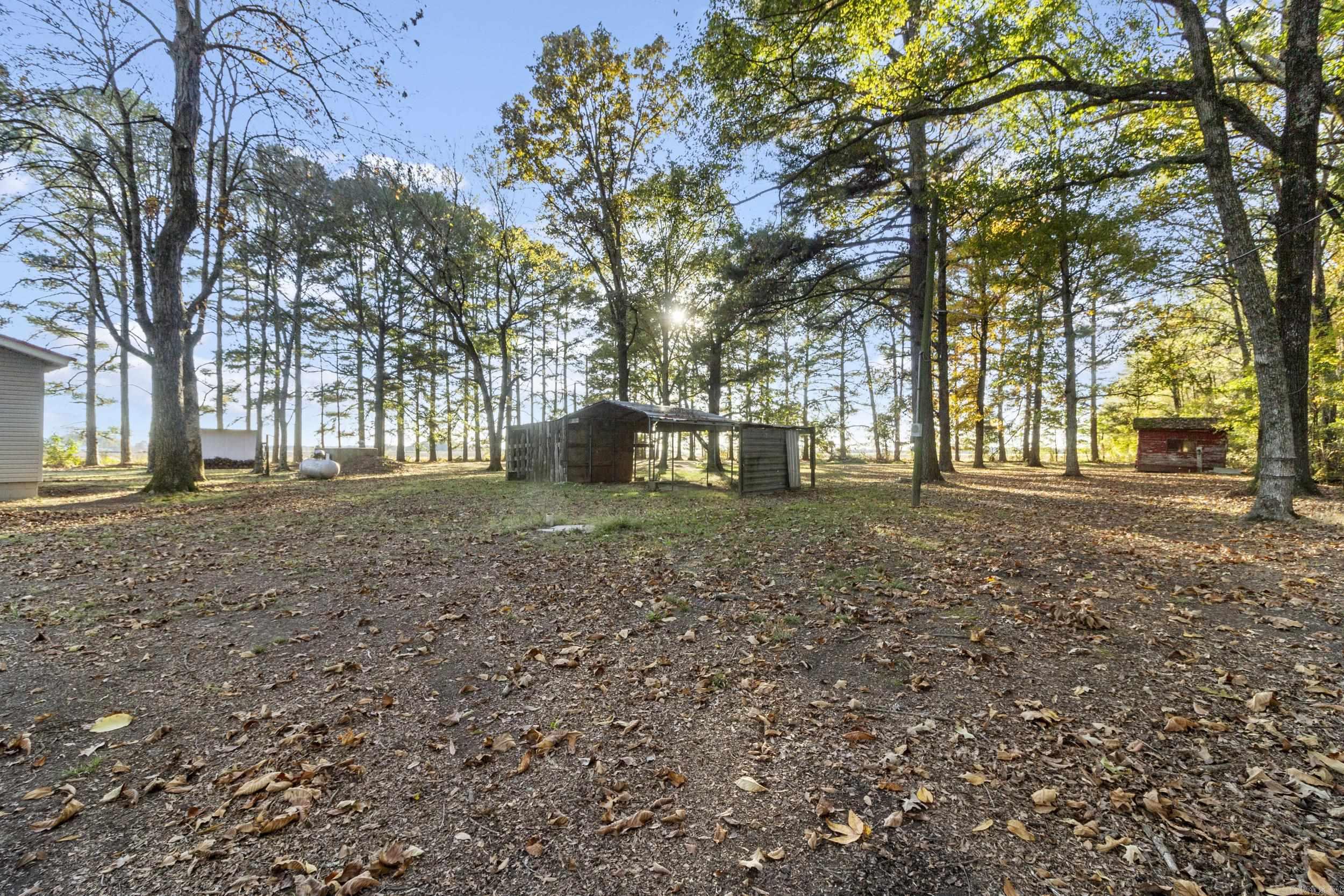 17440  Highway 11  Griffithville, AR