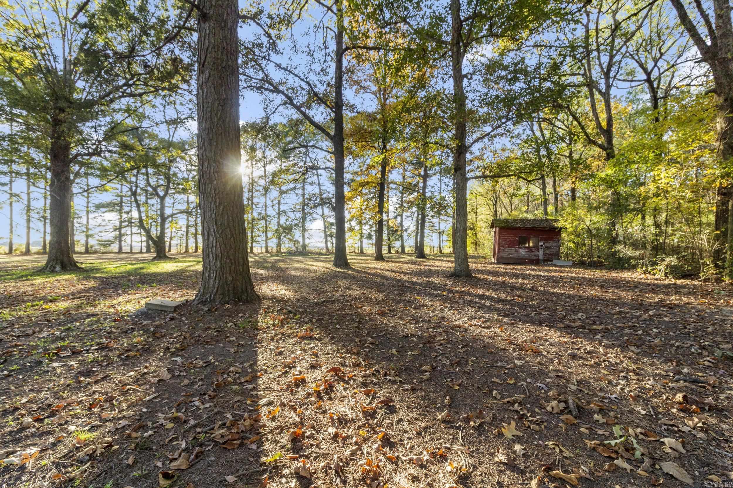 17440  Highway 11  Griffithville, AR