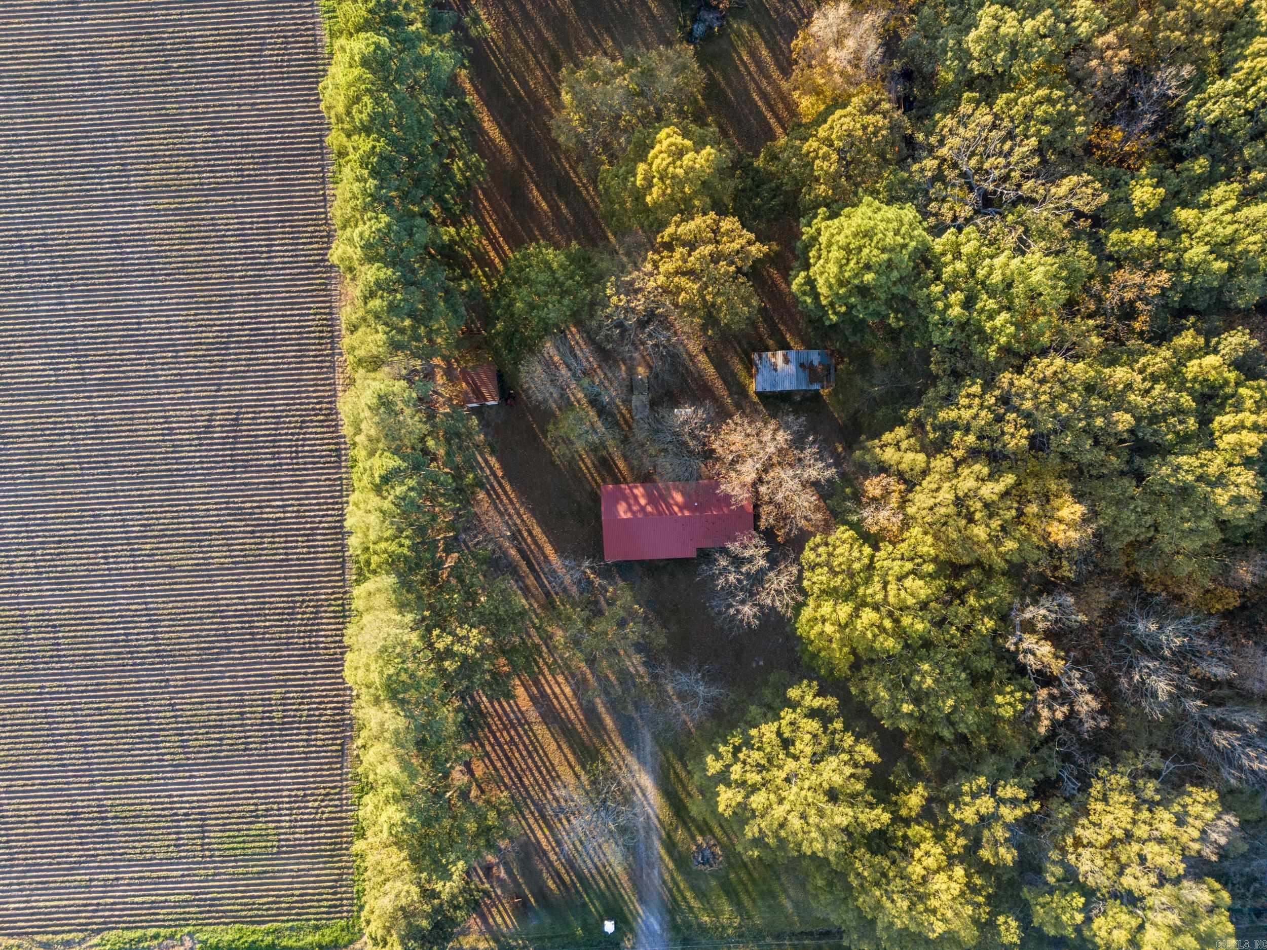 17440  Highway 11  Griffithville, AR