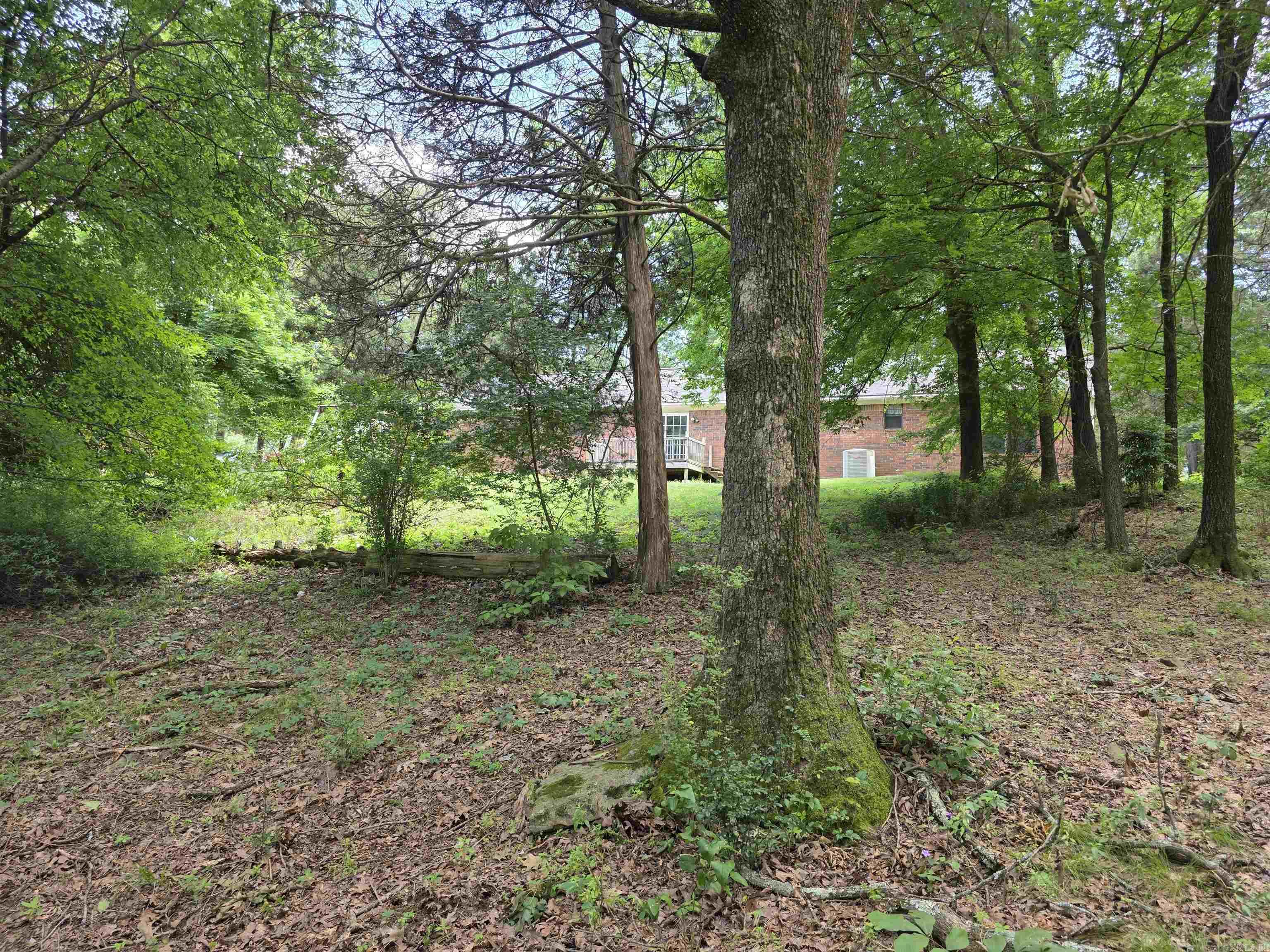 535  Ridgeview  Russellville, AR
