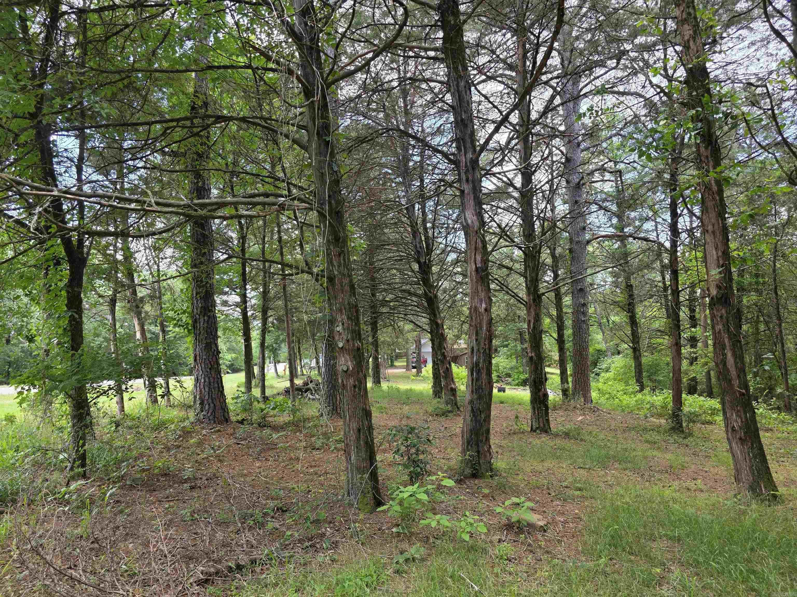 535  Ridgeview  Russellville, AR