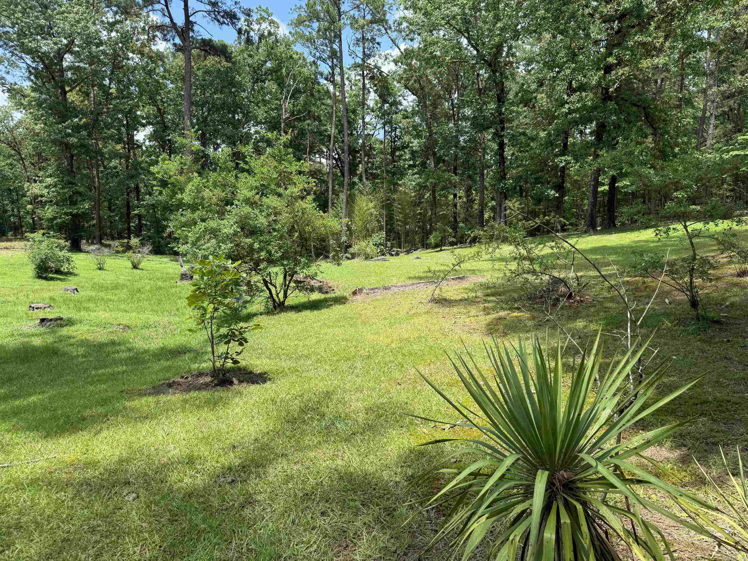 583  Osmond  Bismarck, AR