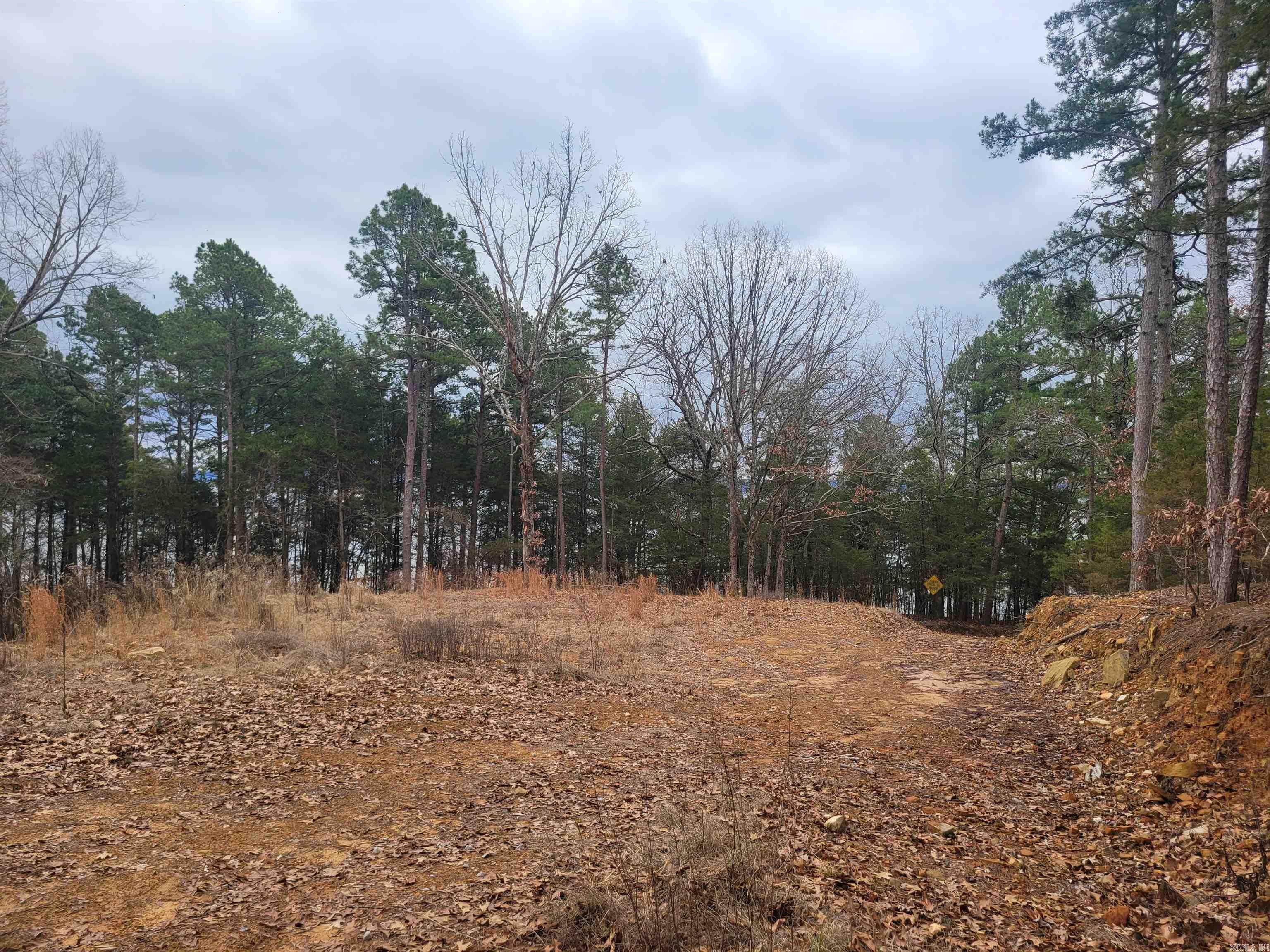 1631  Fox Chase  Greers Ferry, AR