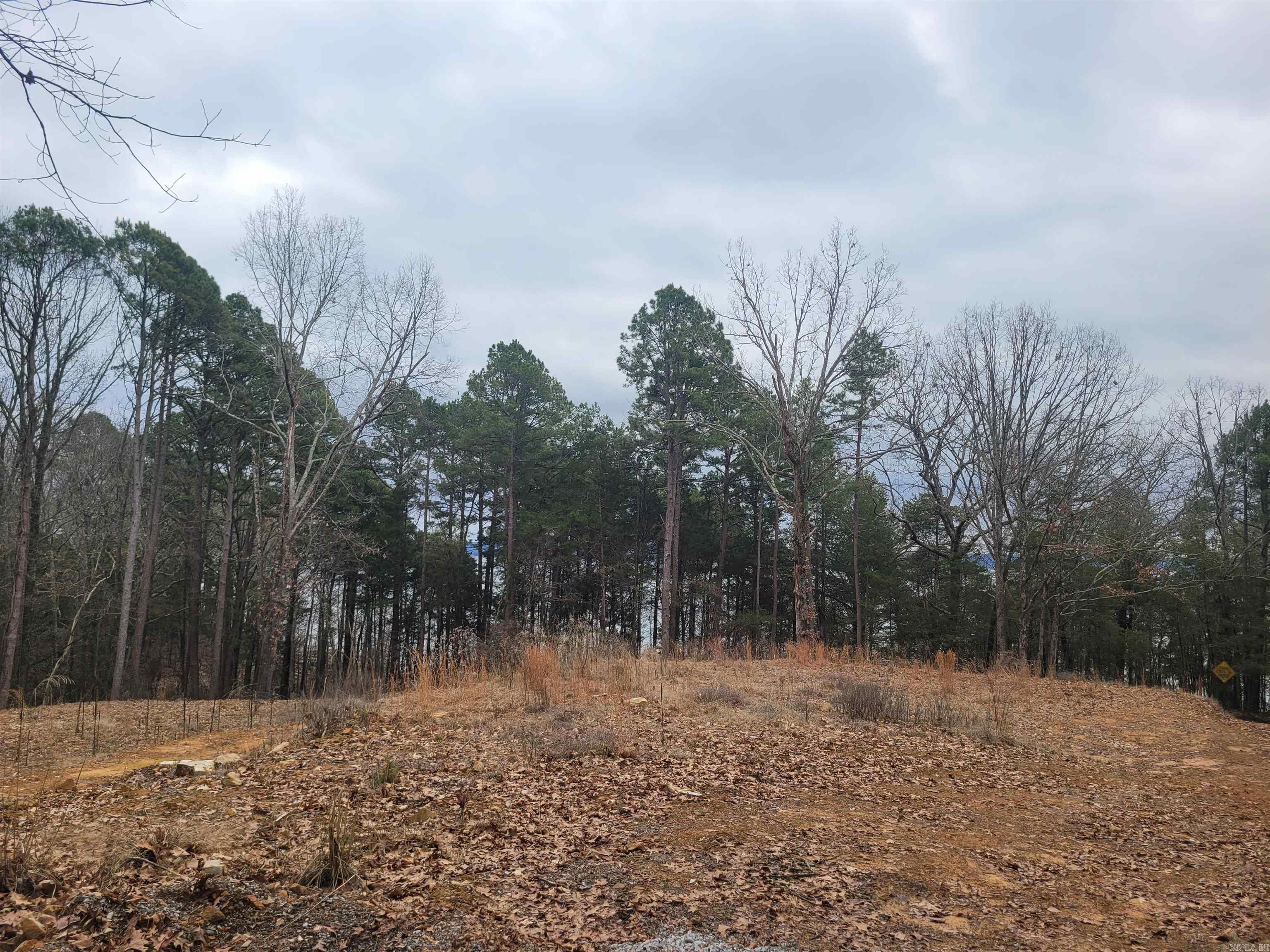 1631  Fox Chase  Greers Ferry, AR
