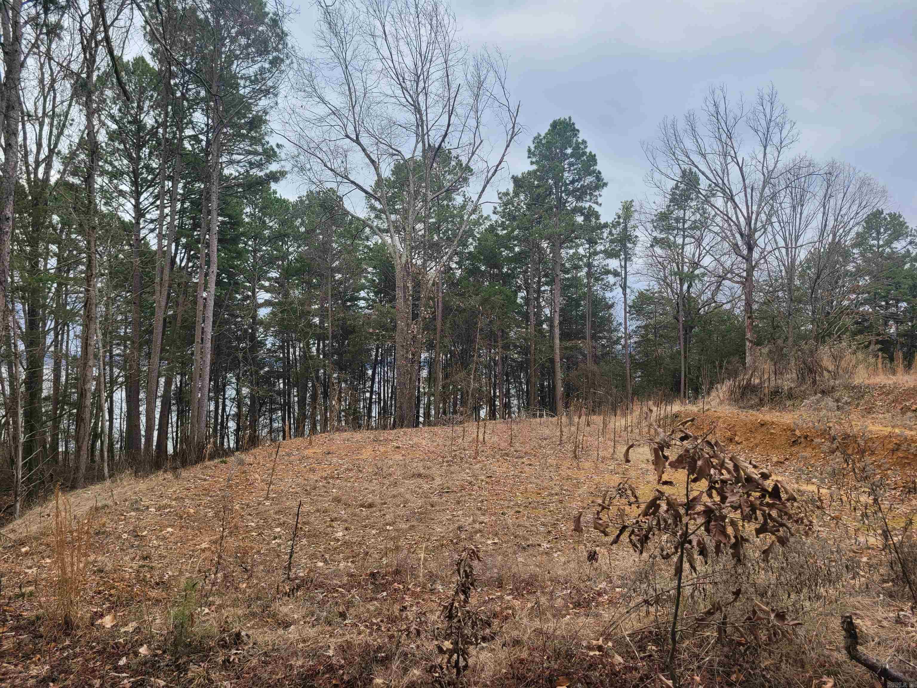 1631  Fox Chase  Greers Ferry, AR
