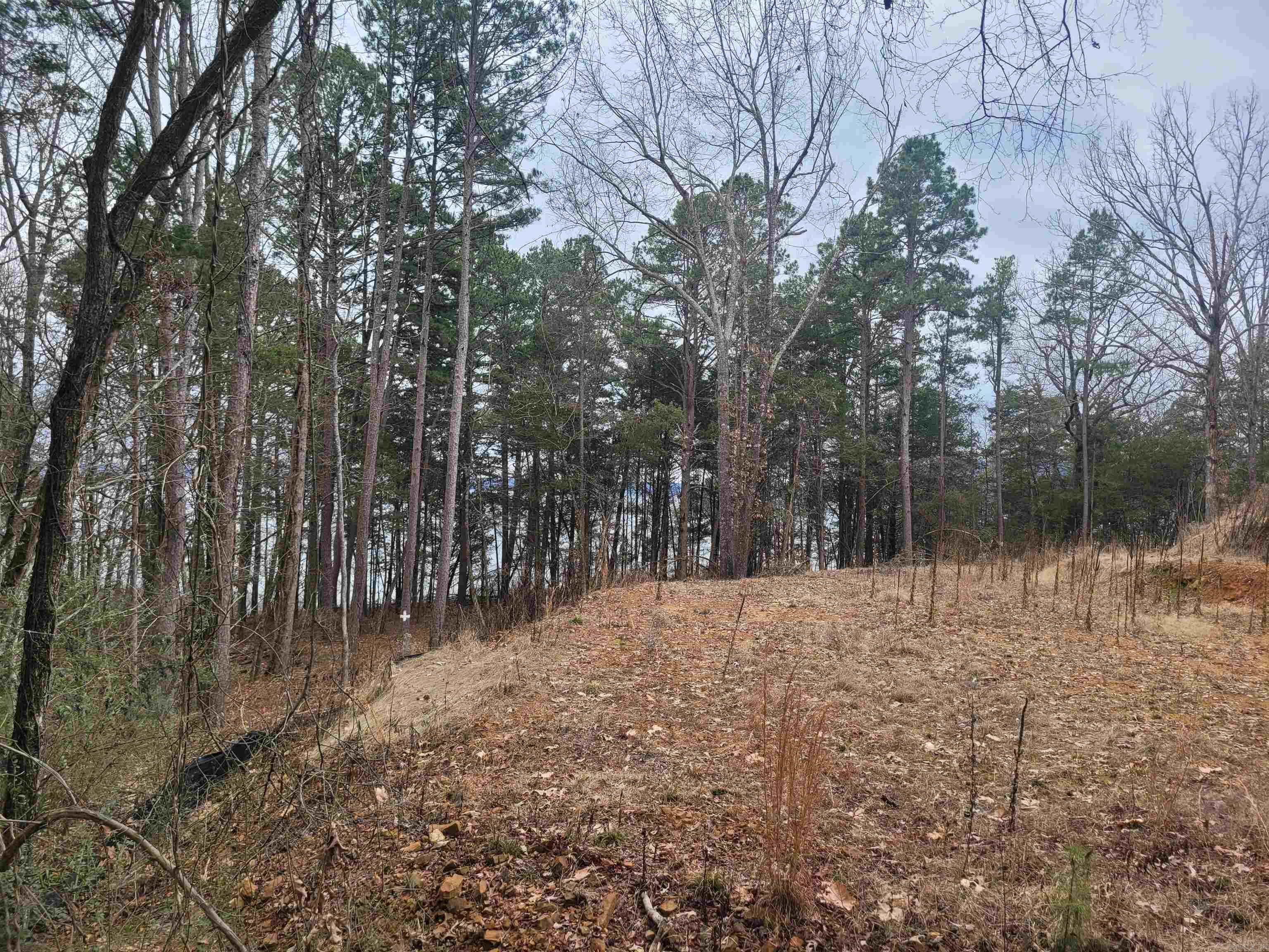 1631  Fox Chase  Greers Ferry, AR