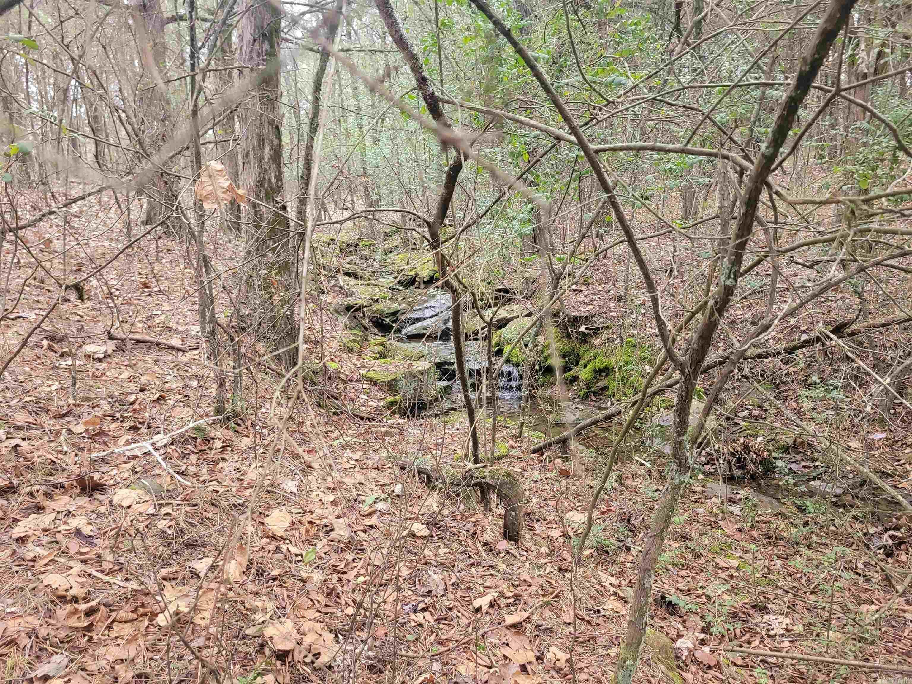 1631  Fox Chase  Greers Ferry, AR
