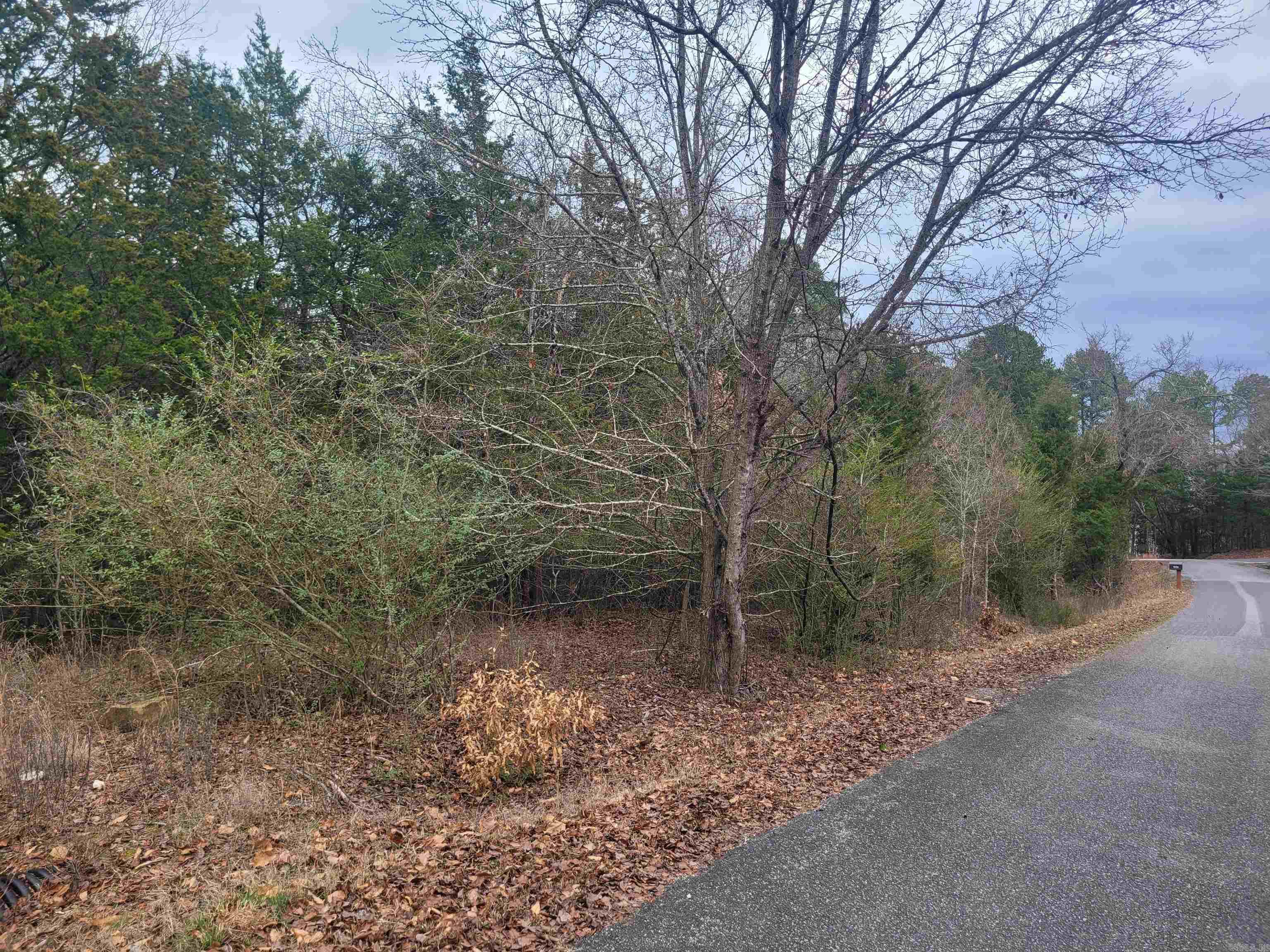 1631  Fox Chase  Greers Ferry, AR