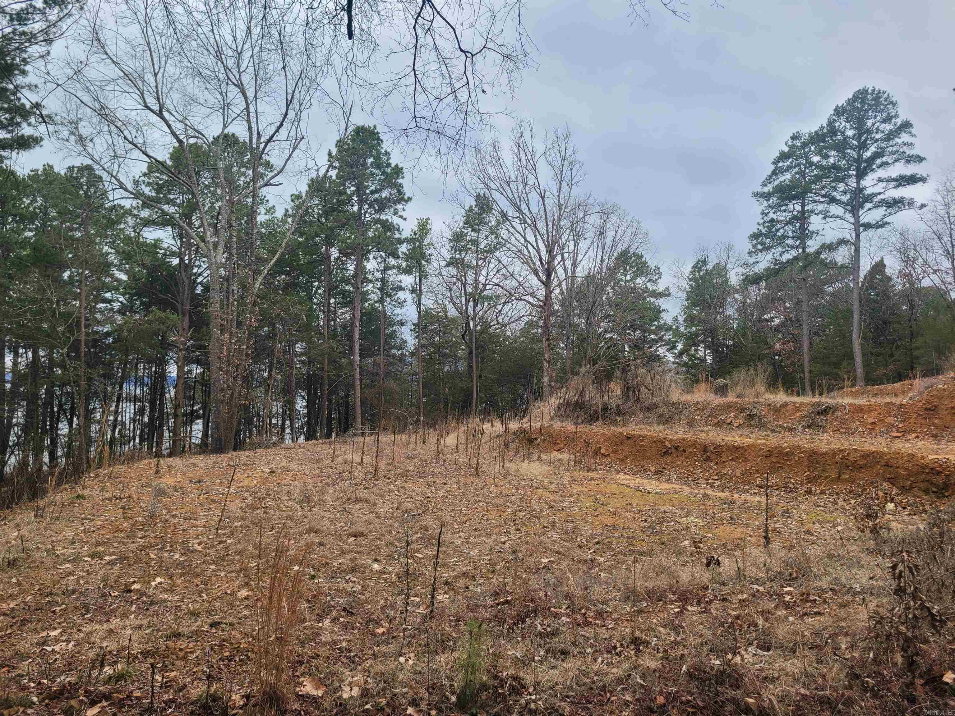 1631  Fox Chase  Greers Ferry, AR