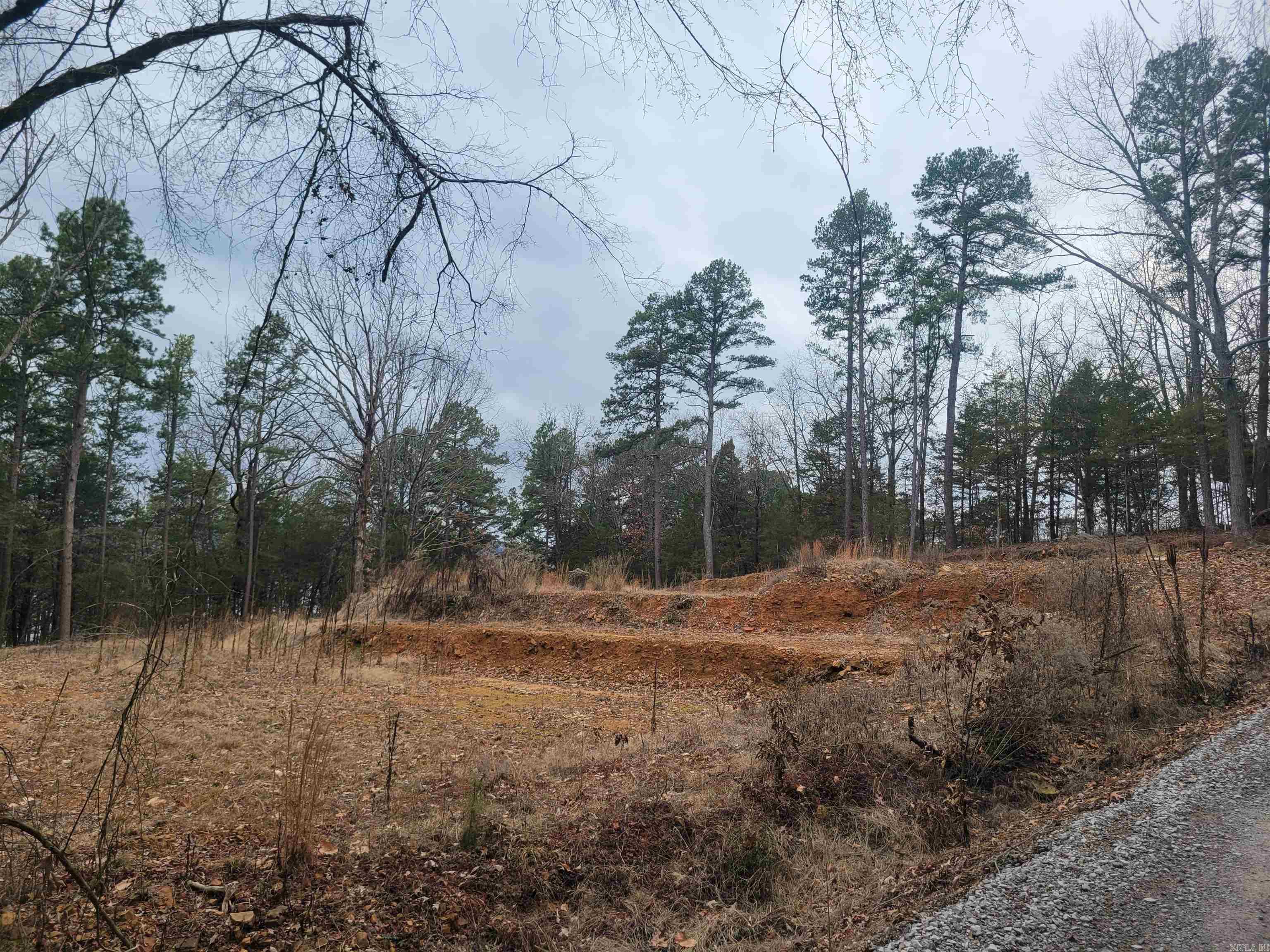 1631  Fox Chase  Greers Ferry, AR