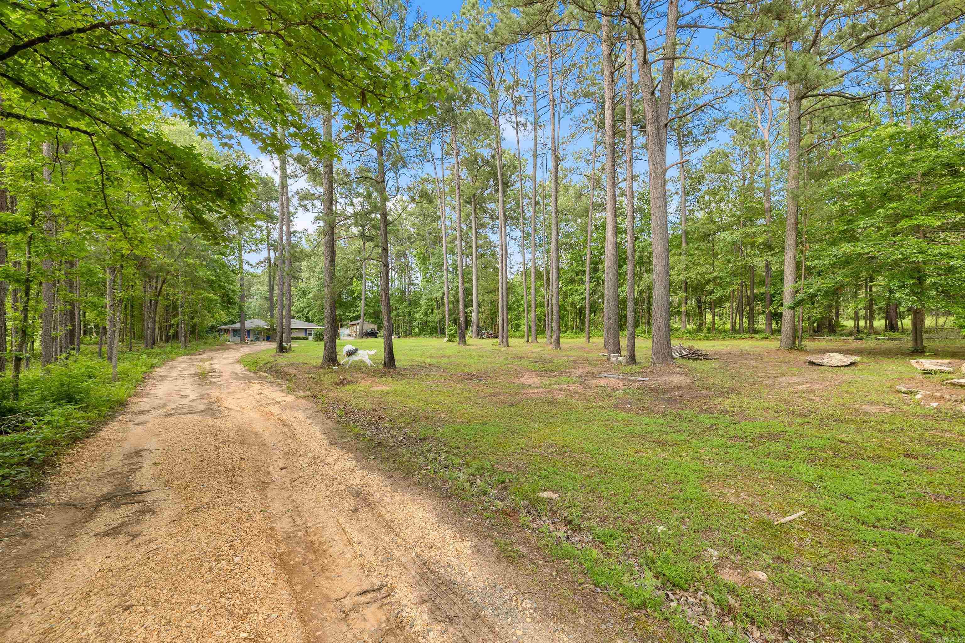 8011  Dial  Rison, AR
