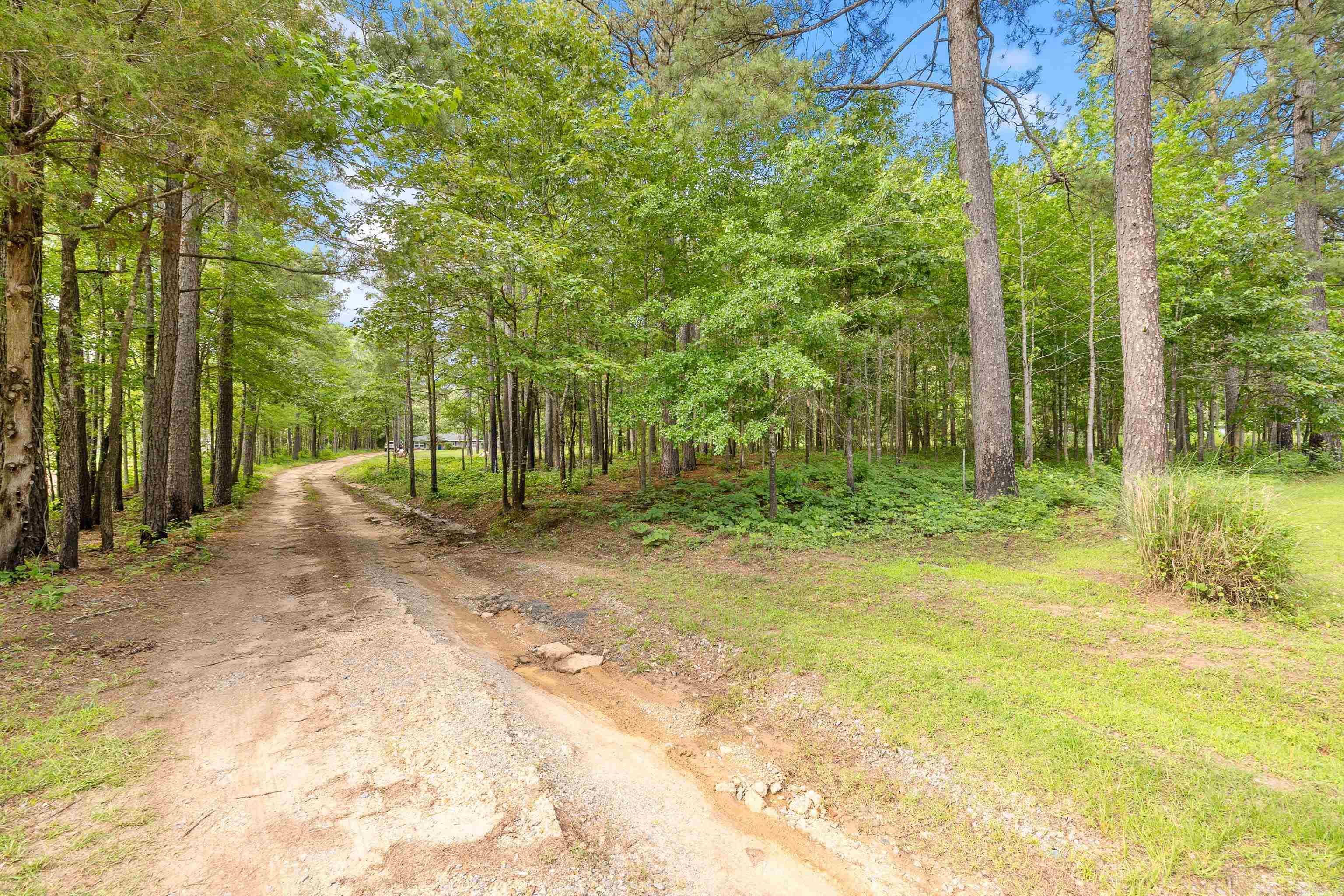 8011  Dial  Rison, AR