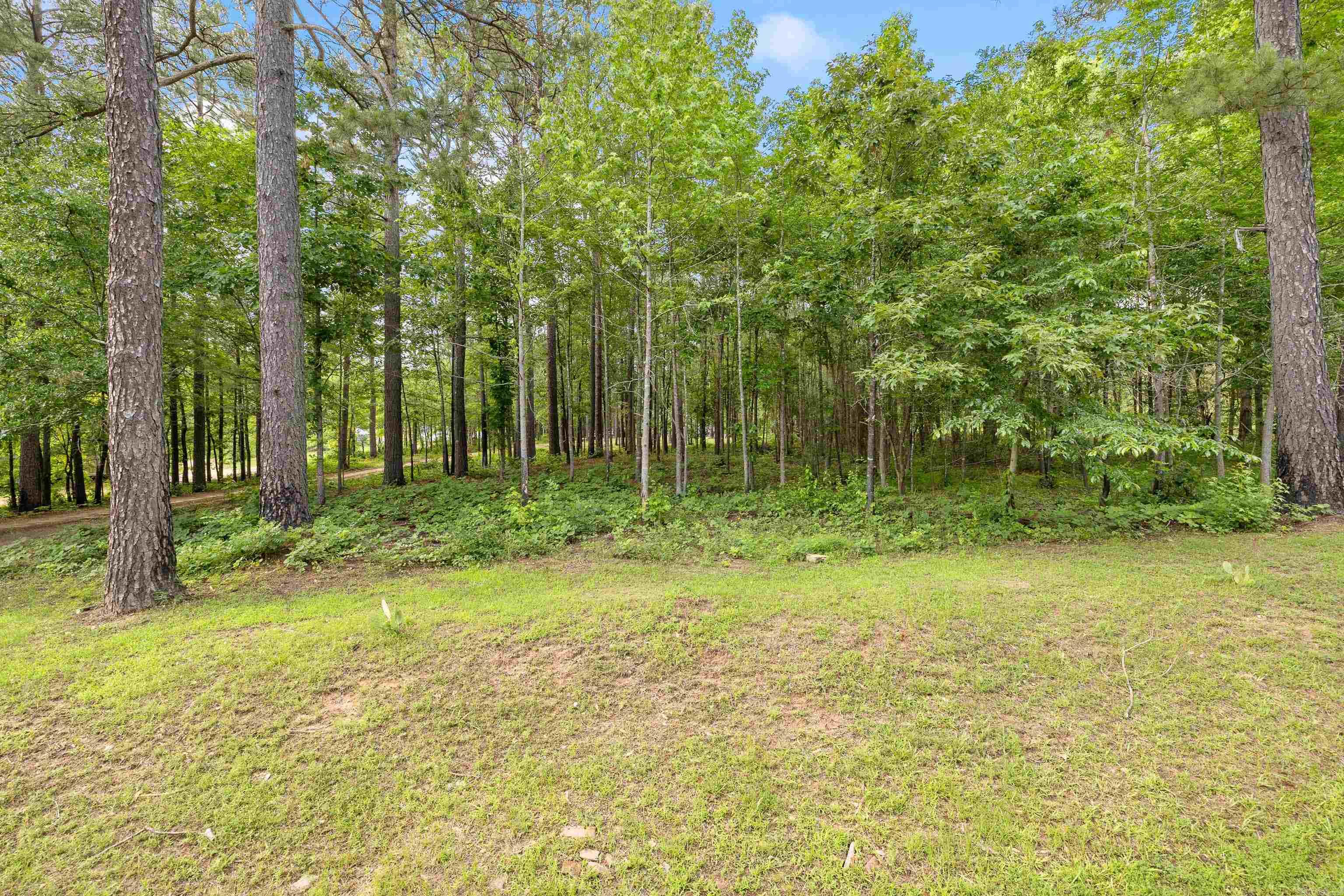 8011  Dial  Rison, AR