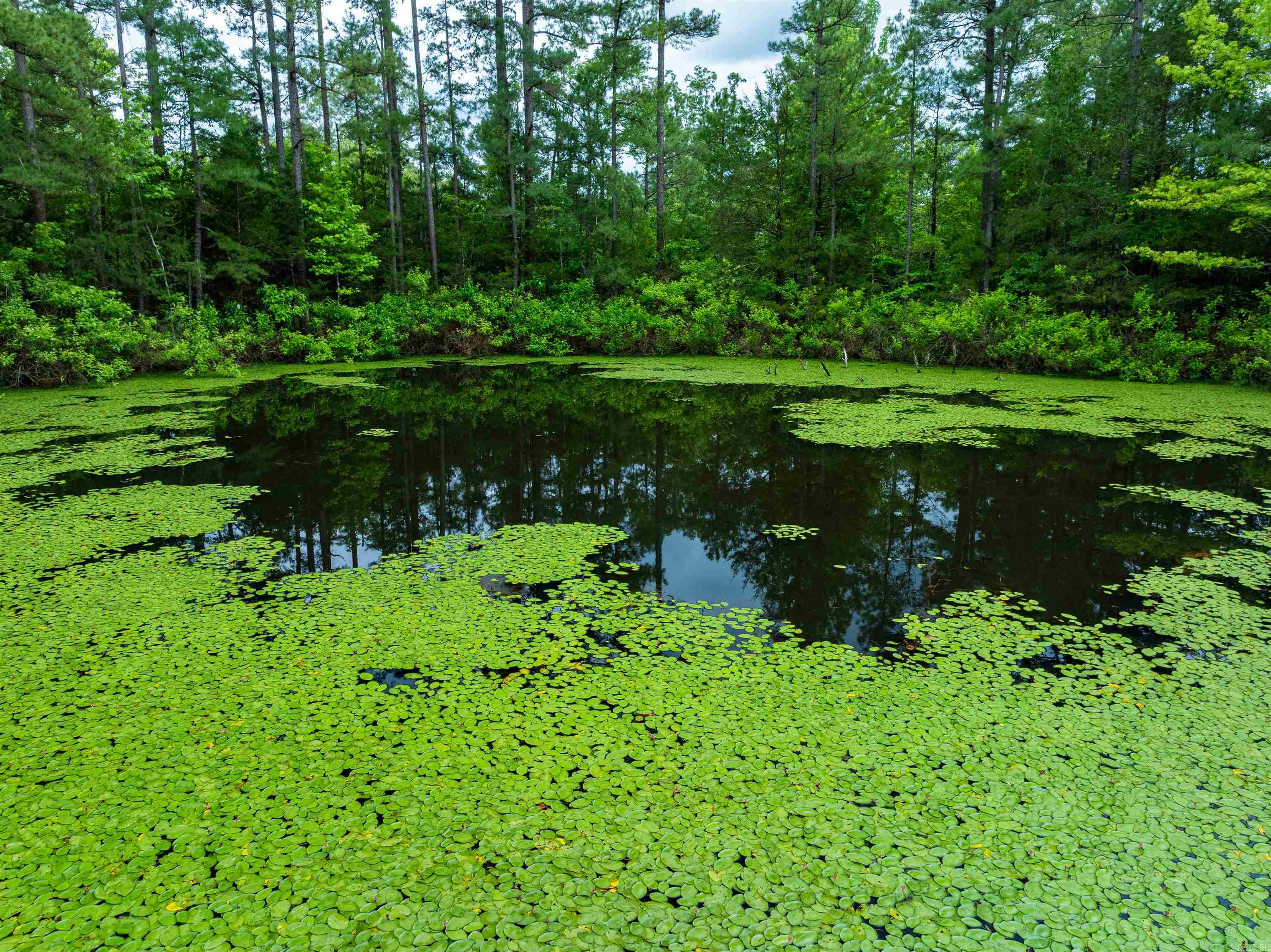 0  Chessmond Ferry Road  Calico Rock, AR