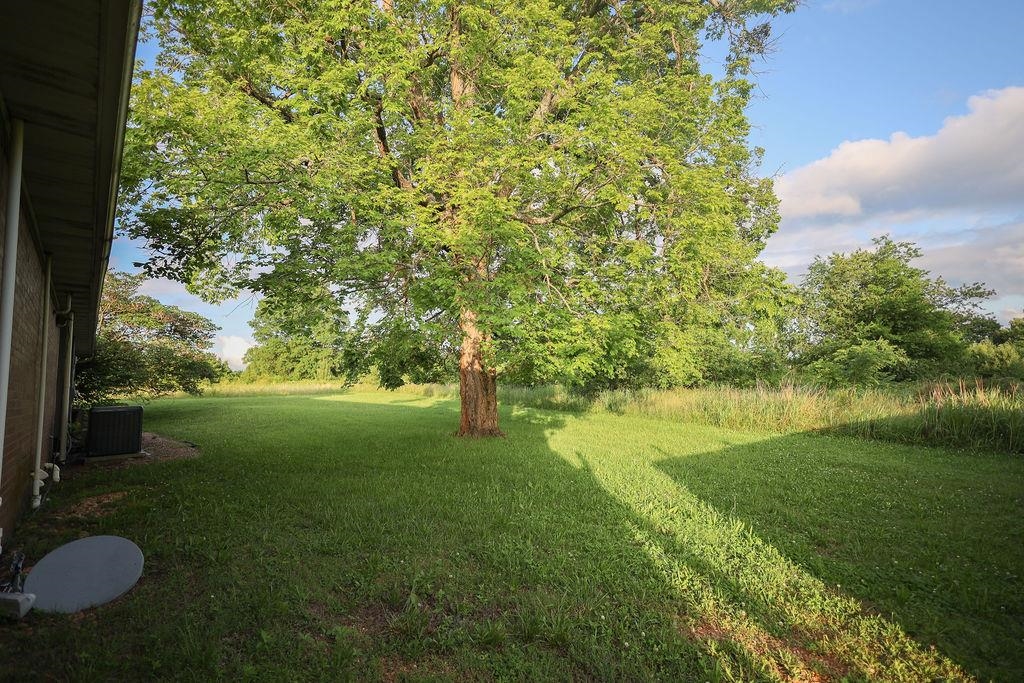 1177  Hwy 62  Cotter, AR