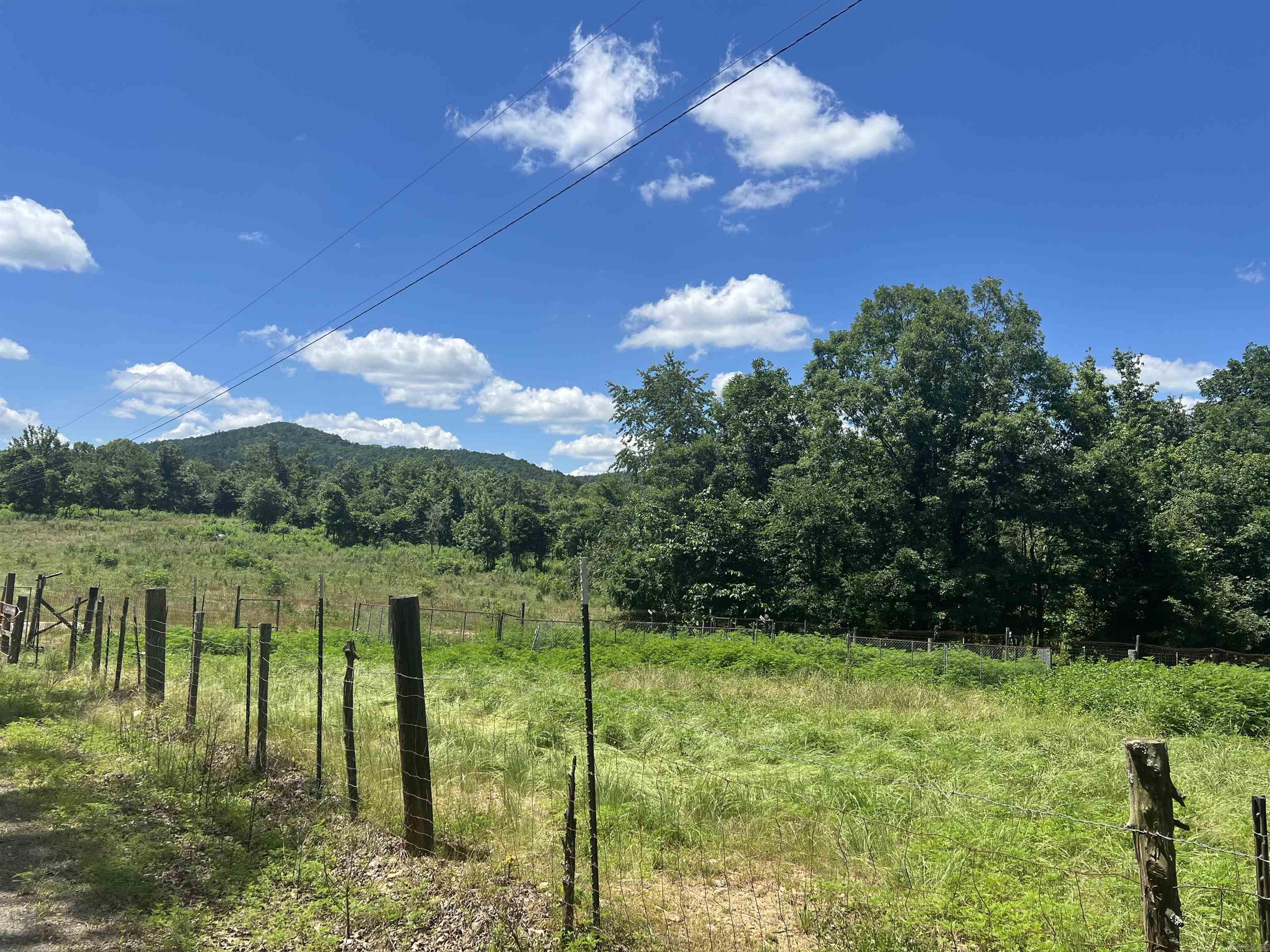 246  Burgess Road  Bonnerdale, AR