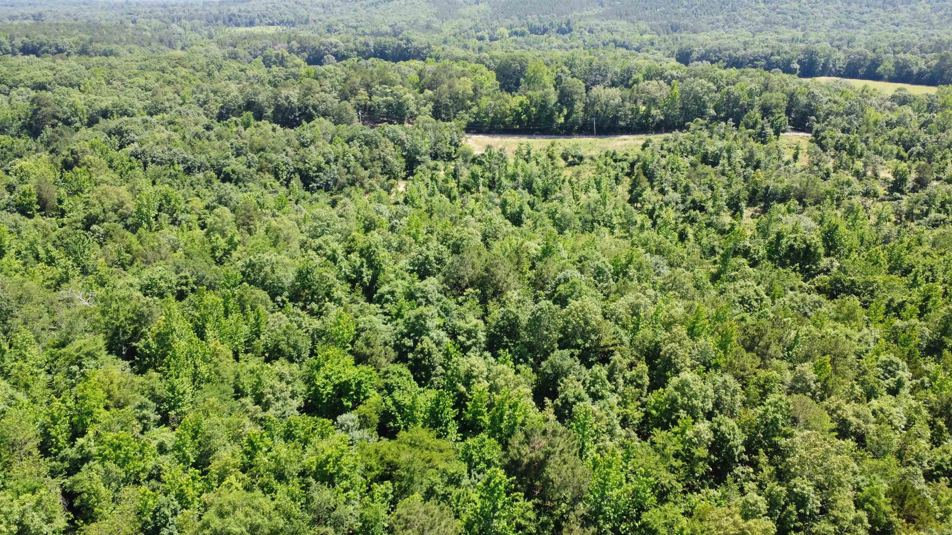 246 Burgess Road  Bonnerdale, AR