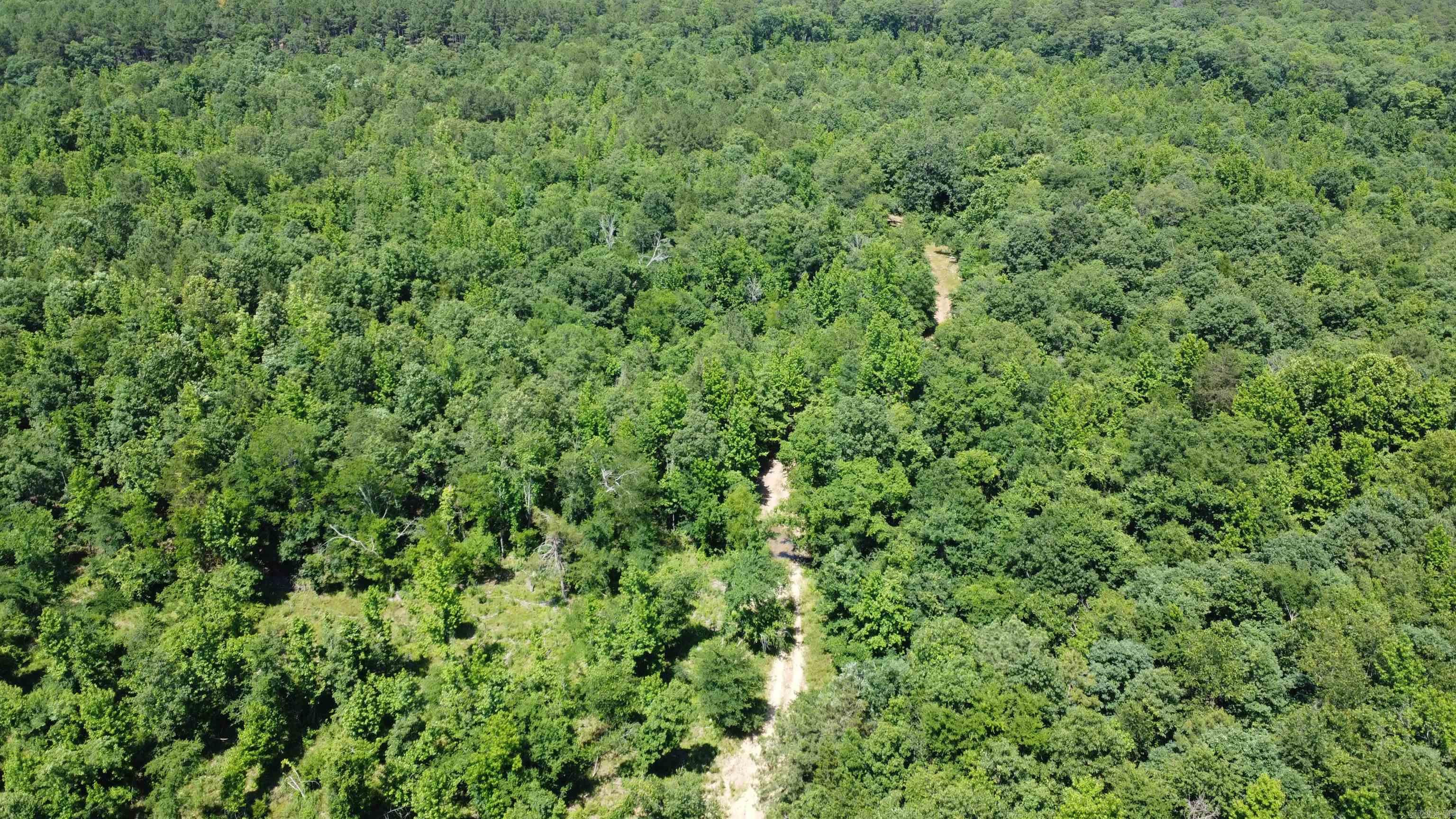 246 Burgess Road  Bonnerdale, AR