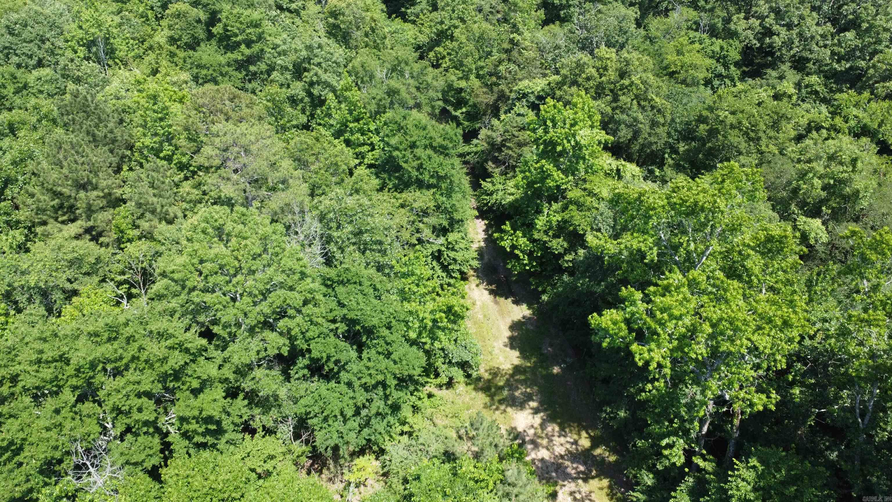 246 Burgess Road  Bonnerdale, AR
