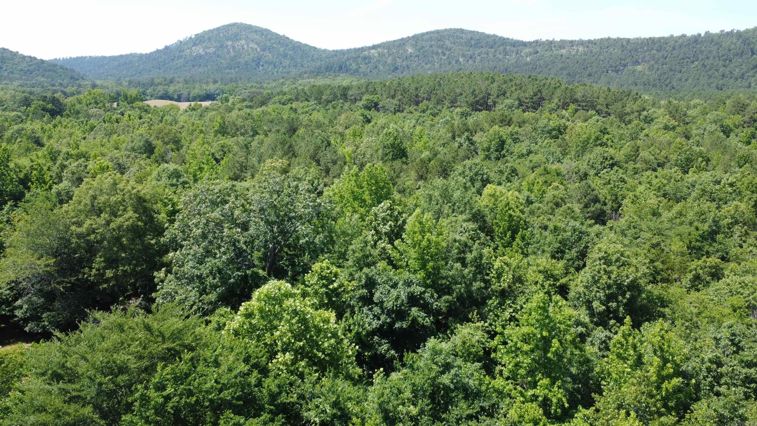246 Burgess Road  Bonnerdale, AR