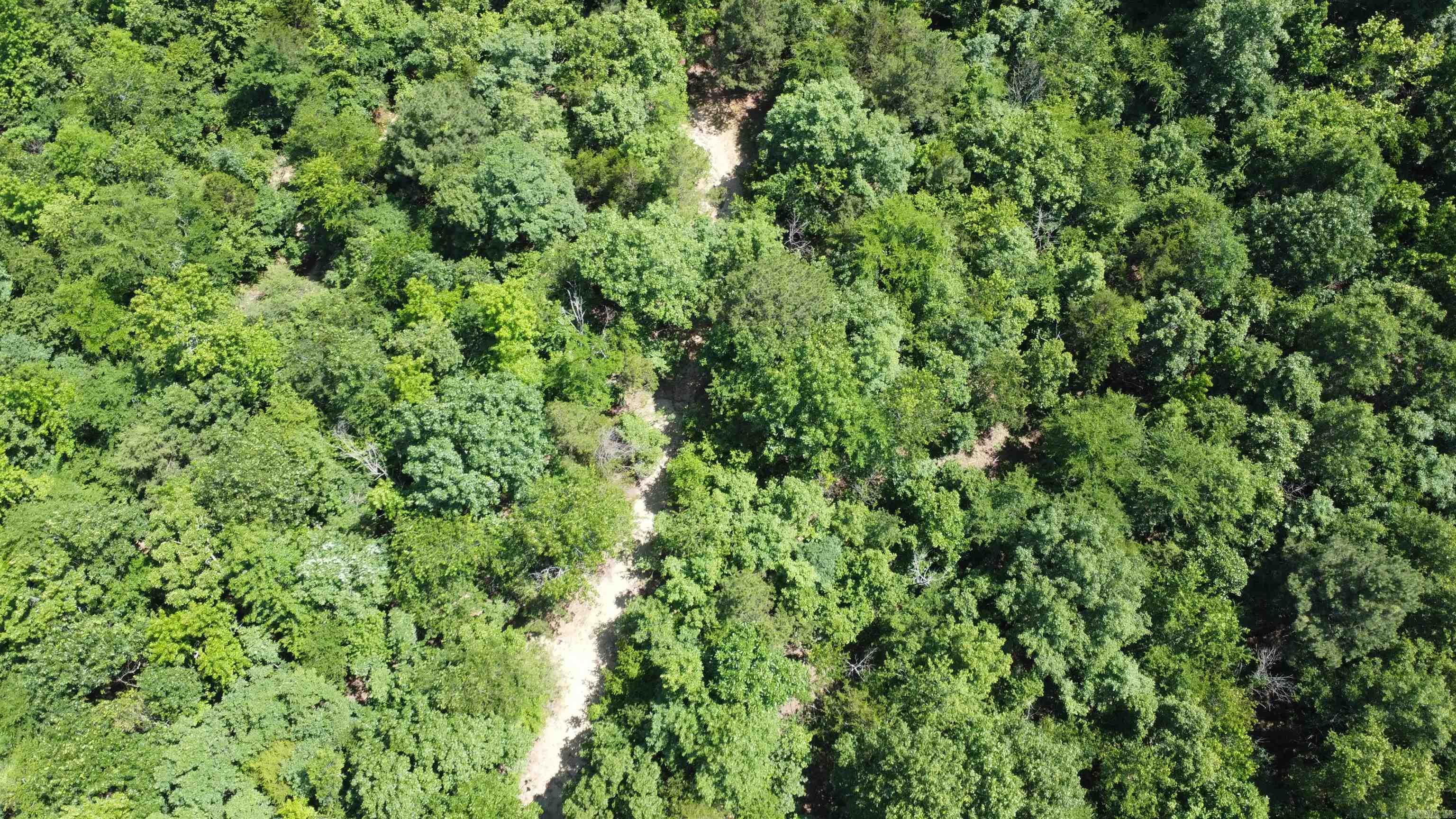 246 Burgess Road  Bonnerdale, AR