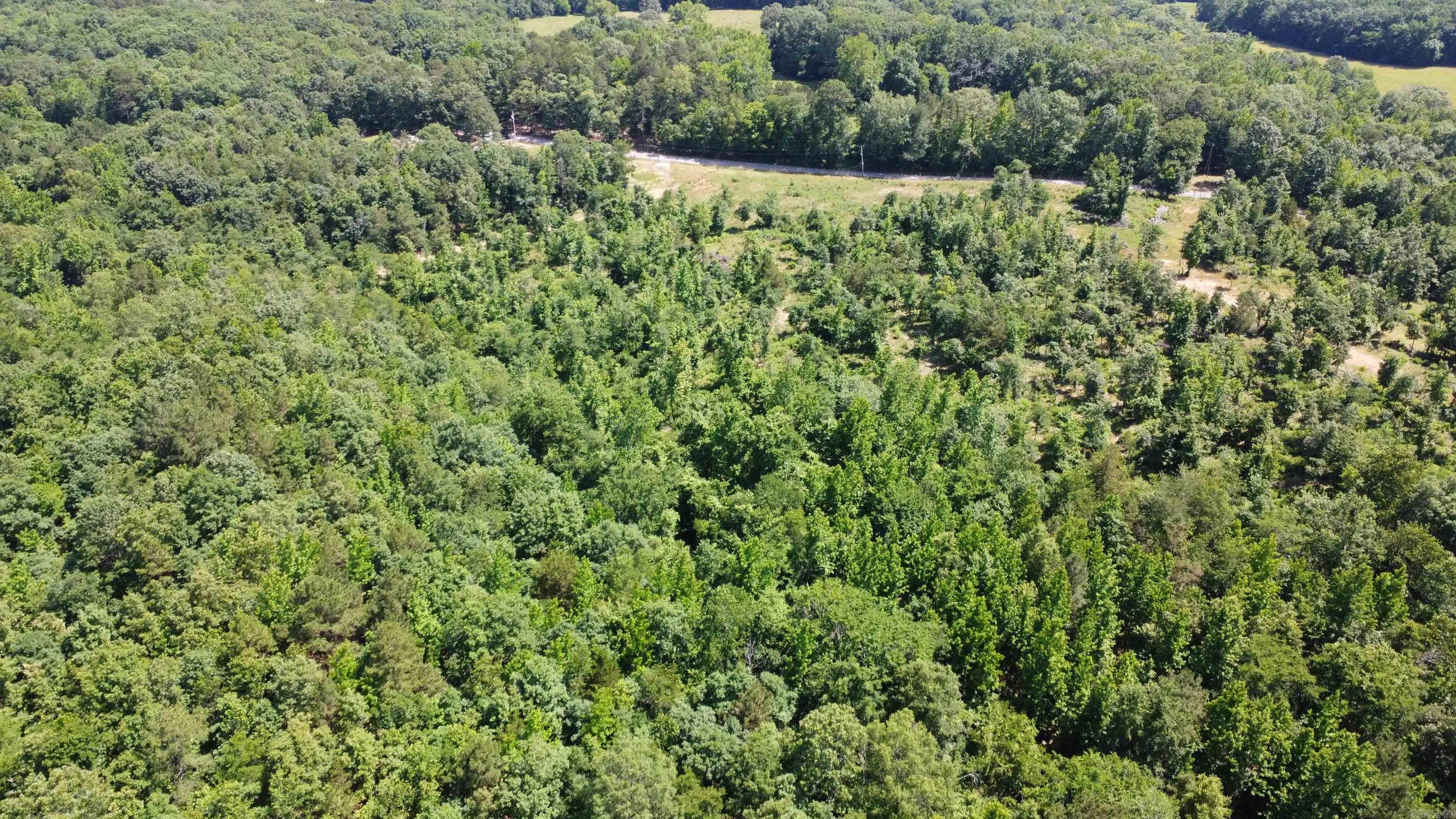 246 Burgess Road  Bonnerdale, AR