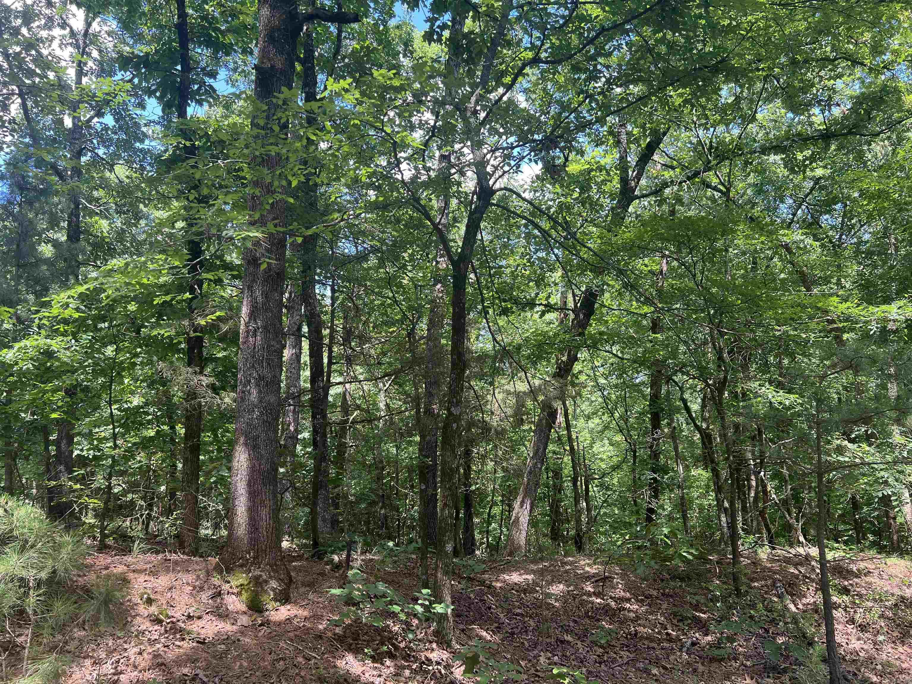 246  Burgess Road  Bonnerdale, AR