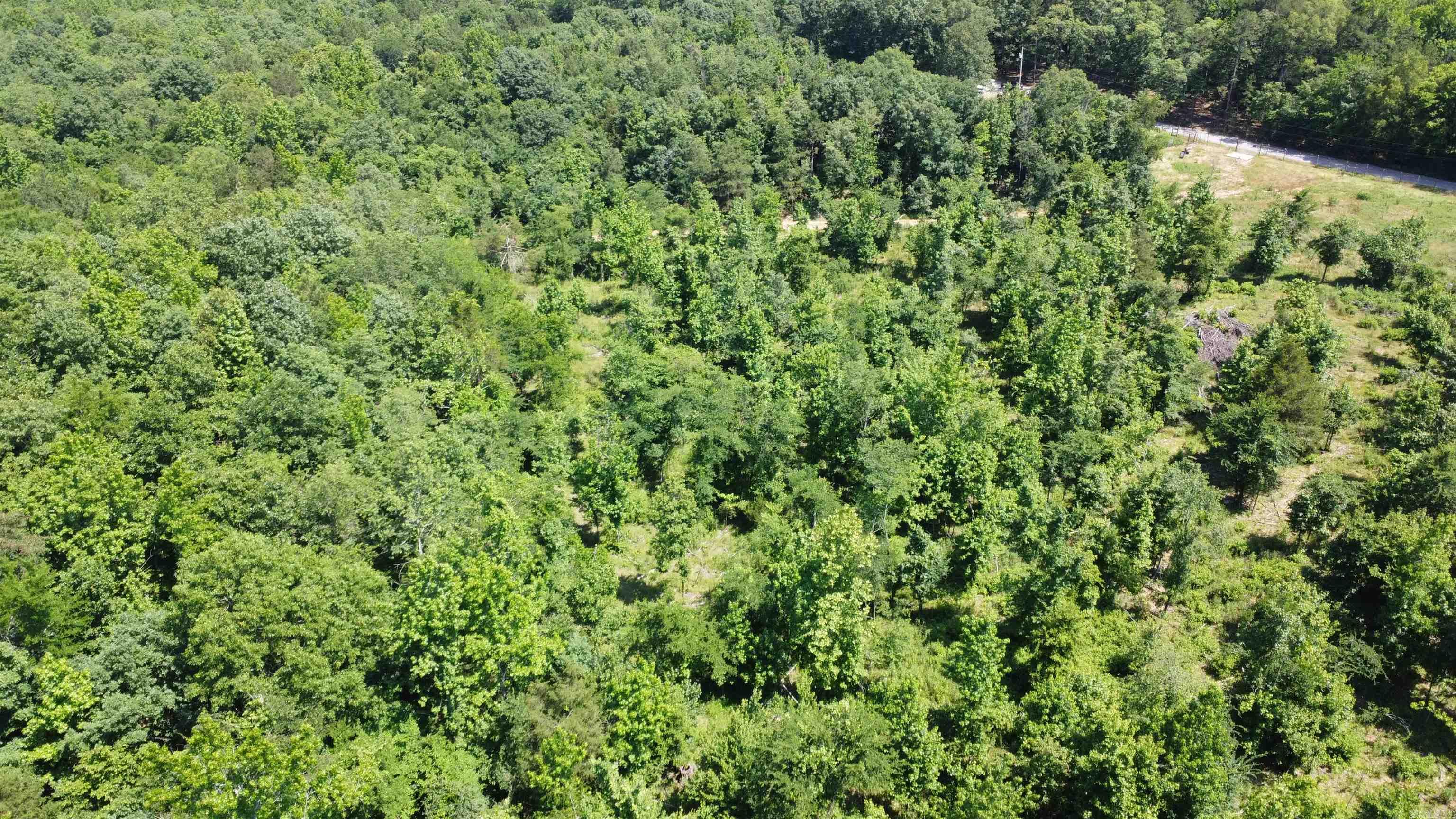 246 Burgess Road  Bonnerdale, AR