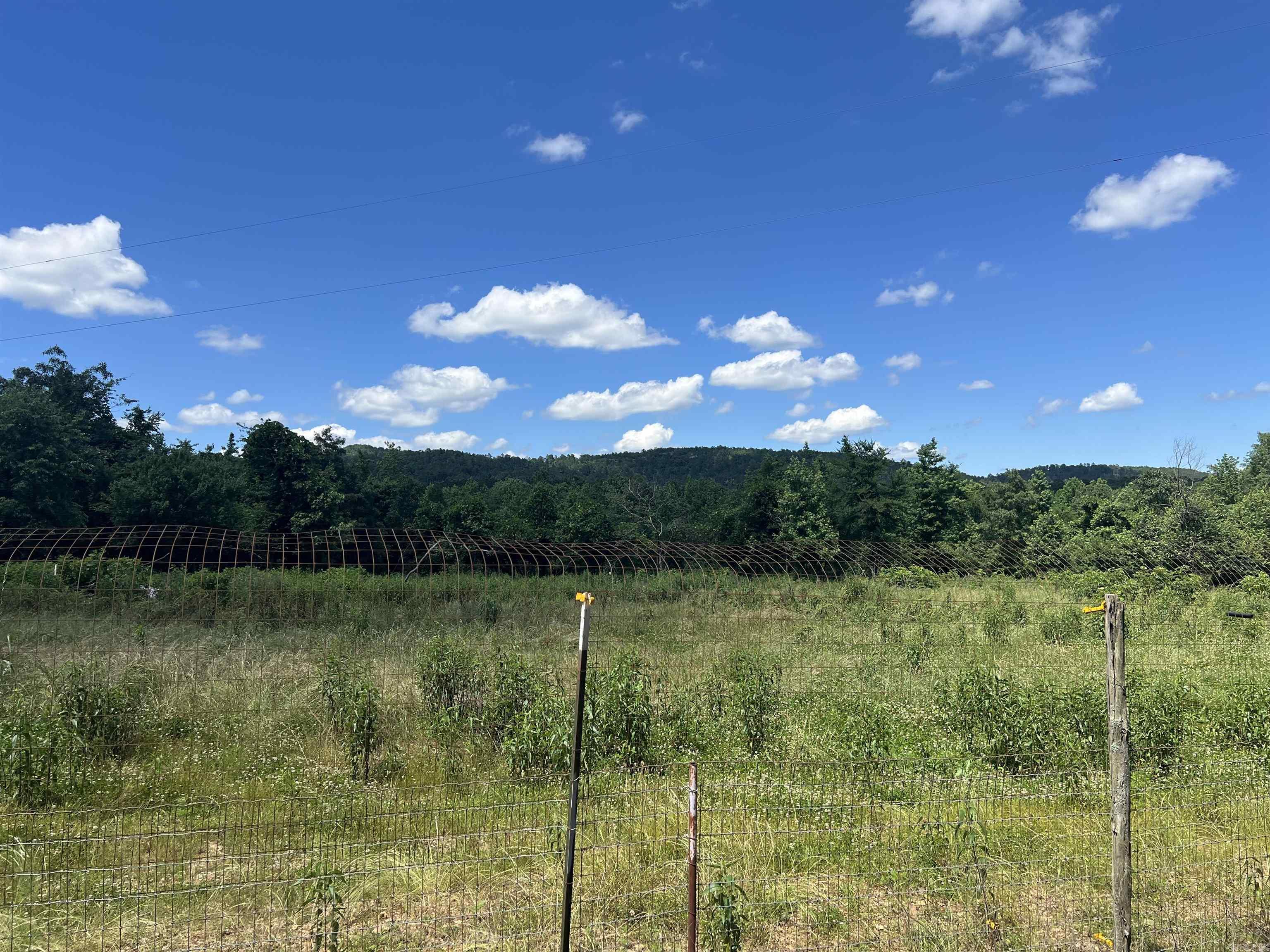 246  Burgess Road  Bonnerdale, AR