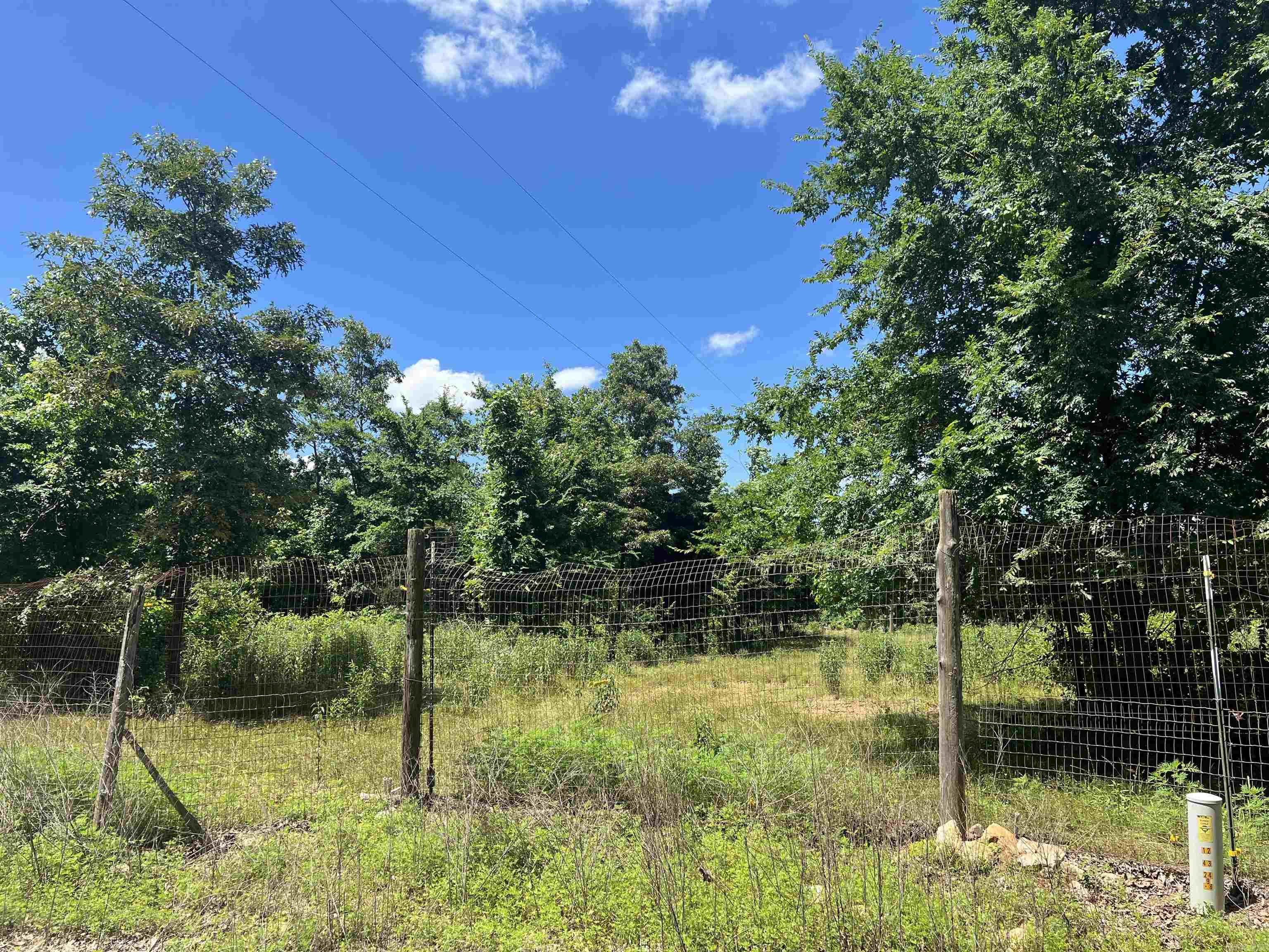 246  Burgess Road  Bonnerdale, AR