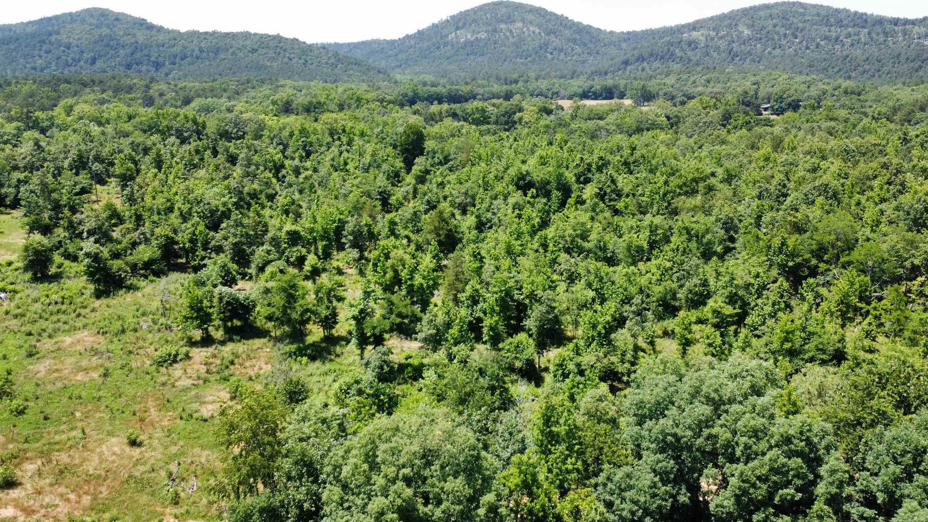246 Burgess Road  Bonnerdale, AR