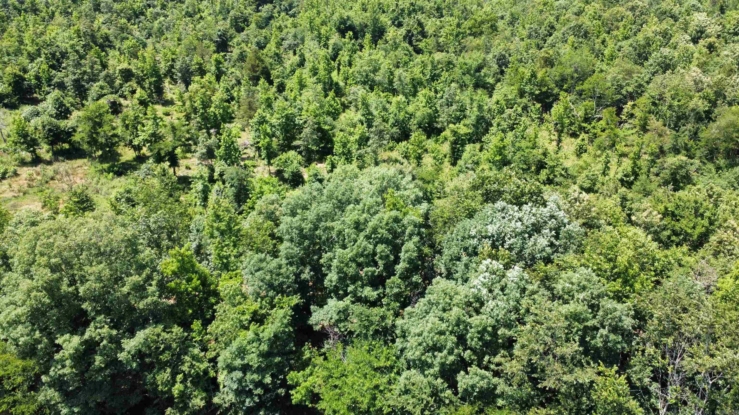 246 Burgess Road  Bonnerdale, AR