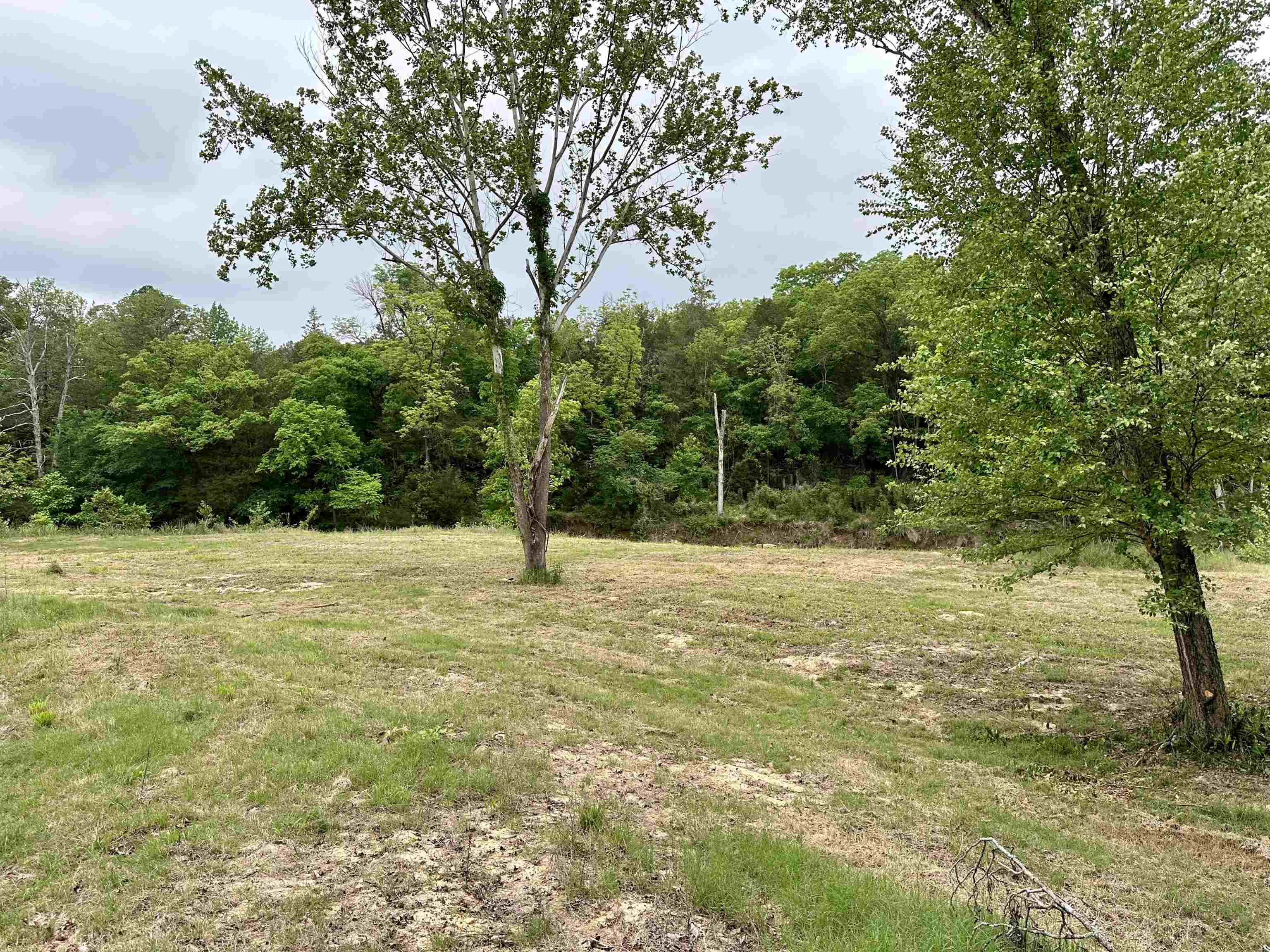 Lot 5  Apple Tree Lane  Melbourne, AR